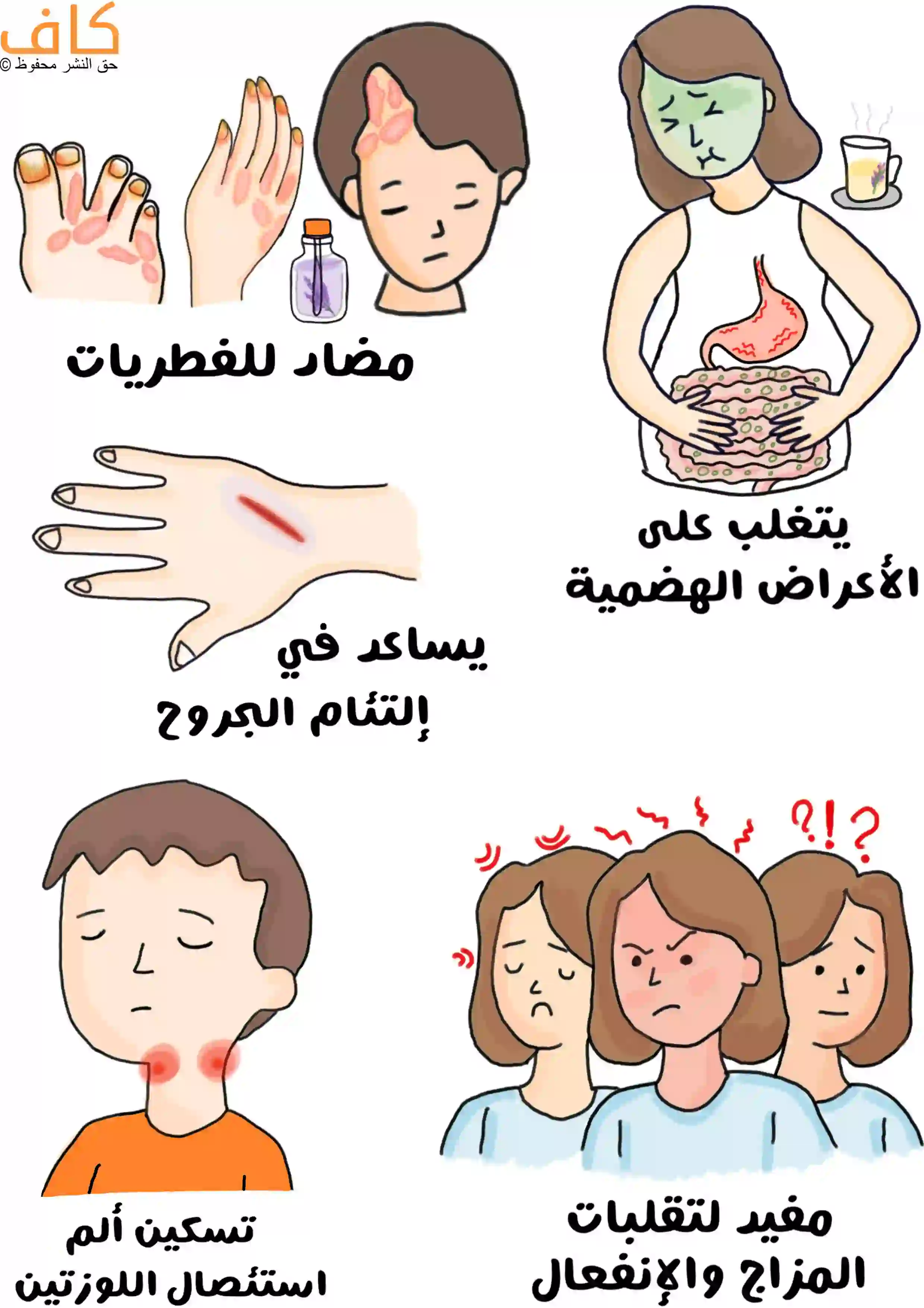 رسمة توضيحية تبيّن فوائد الخزامى، حيث تظهر أقدام ويدين مصابة بعدوى فطرية مع زجاجة زيت خزامى بجانبها، طفل يعاني من ألم في الحلق بعد استئصال اللوزتين، يد عليها جرح يلتئم، امرأة تمسك معدتها بسبب آلام هضمية، وأخرى تظهر عليها تقلبات المزاج والانفعال