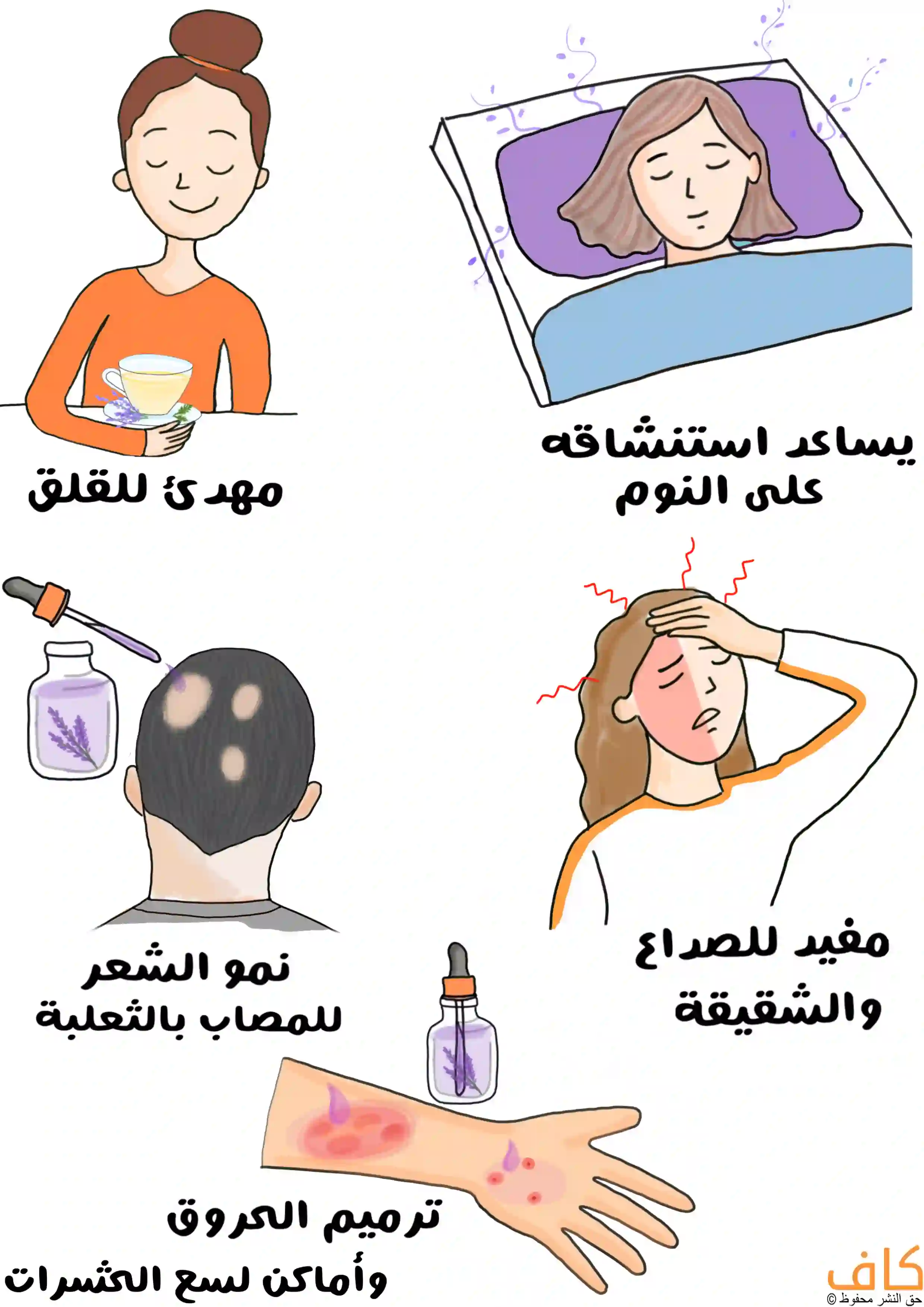 رسمة توضيحية ملوّنة تعرض فوائد الخزامى، حيث تظهر امرأة تشرب شاي مهدئ، وأخرى تنام على وسادة معطّرة، امرأة تمسك رأسها بسبب الصداع، رجل لديه فراغات في شعر رأسه يستخدم زيت الخزامى لتحفيز نمو الشعر، وذراع مصابة بحروق ولسعات يجري علاجها بالزيت