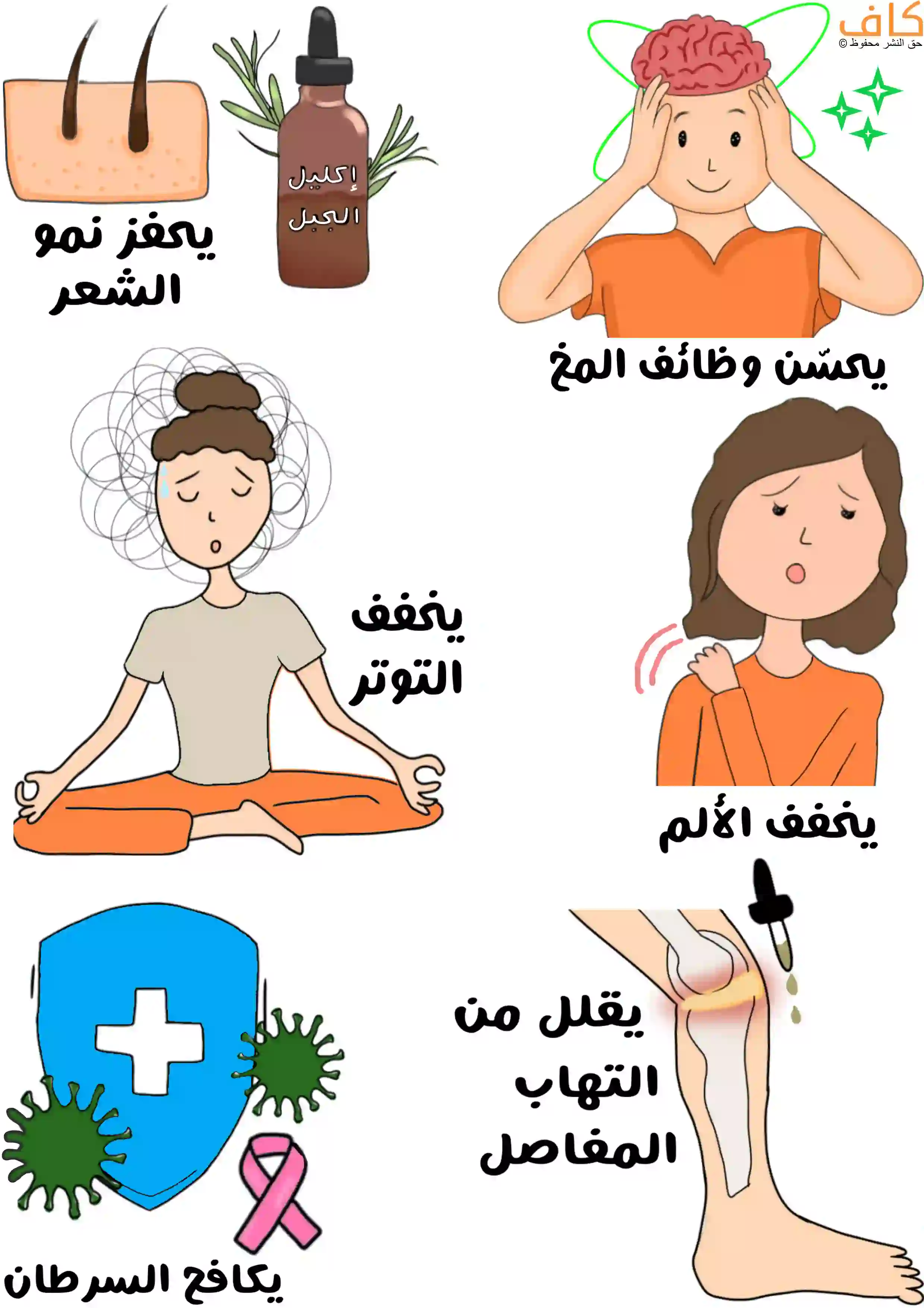 صورة توضيحية لزيت إكليل الجبل تعرض زجاجة مكتوب عليها "إكليل الجبل"، ورسم لفروة رأس تشير إلى نمو الشعر، وشخص يلمس رأسه للدلالة على تنشيط الذاكرة والمخ، وفتاة تجلس متأملة لتمثيل تقليل التوتر، وأخرى تمسك كتفها للتعبير عن الألم، بالإضافة إلى درع أزرق مع شريط وردي يرمز إلى الوقاية من السرطان.