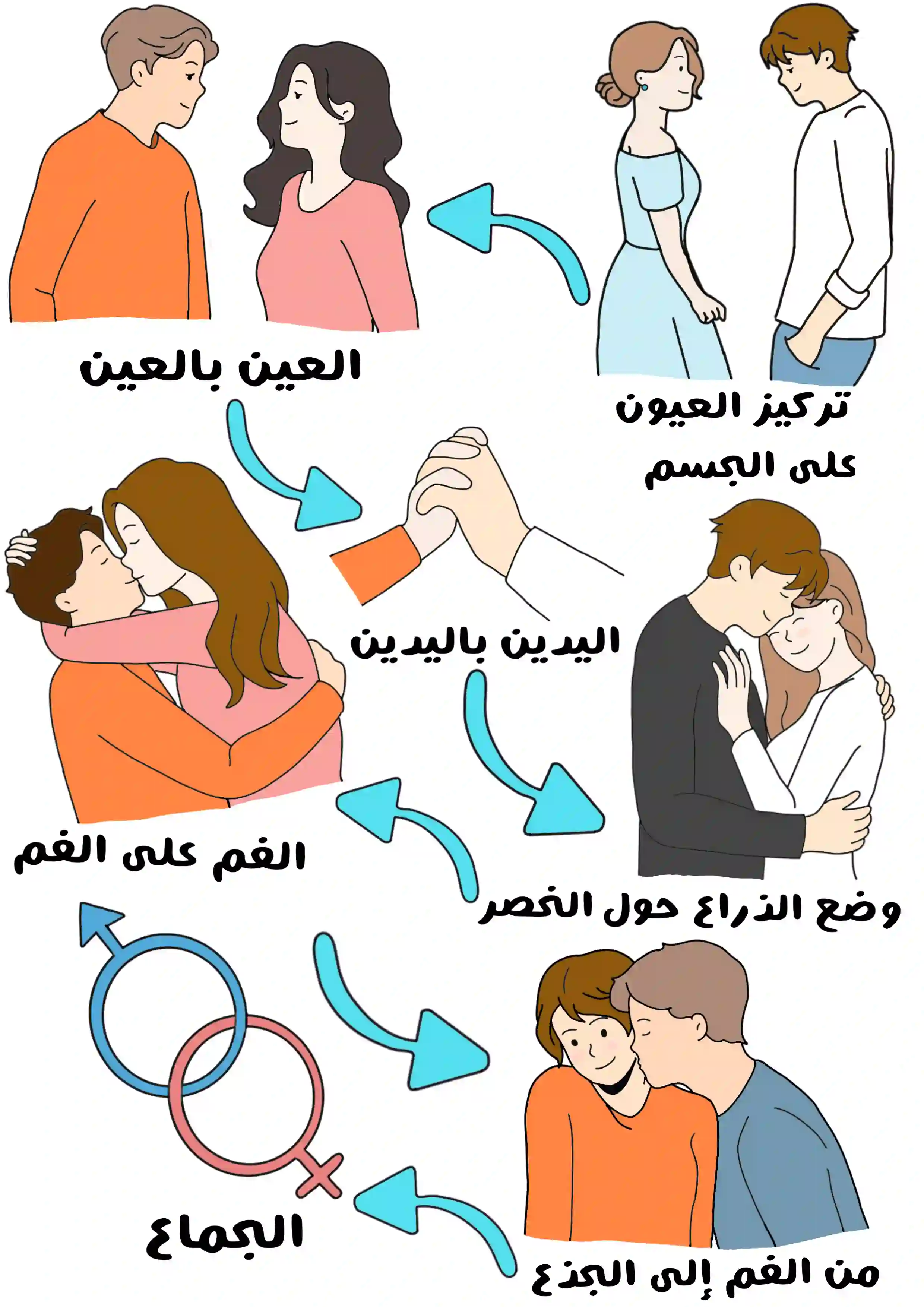 رسم توضيحي يوضح خطوات ومراحل التقارب الجسدي والعاطفي بين الرجل والمرأة من النظرات واللمس والاحتضان وصولاً إلى العلاقة الكاملة