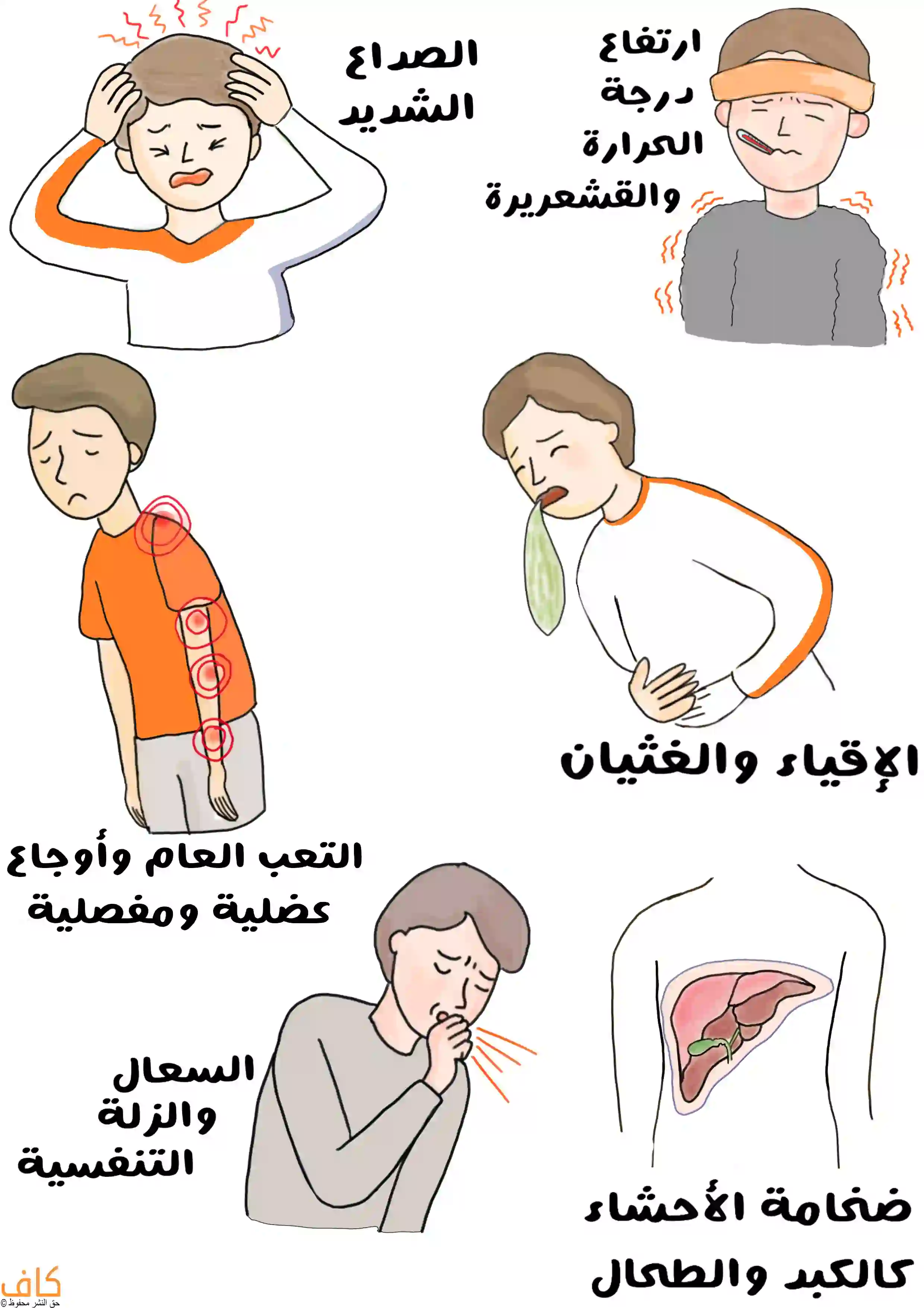 رسمة توضيحية تُظهر شخص يمسك رأسه ويبدو عليه الصداع الشديد، وآخر يرتجف ويضع ميزان حرارة في فمه ويلف رأسه برباط، وشخص يتقيأ ويمسك بطنه، وشخص منهك يشير إلى مواضع الألم في ذراعه وكتفه، وآخر يسعل ويغطي فمه بيده، بالإضافة إلى رسم توضيحي لأعضاء داخلية مثل الكبد والطحال.