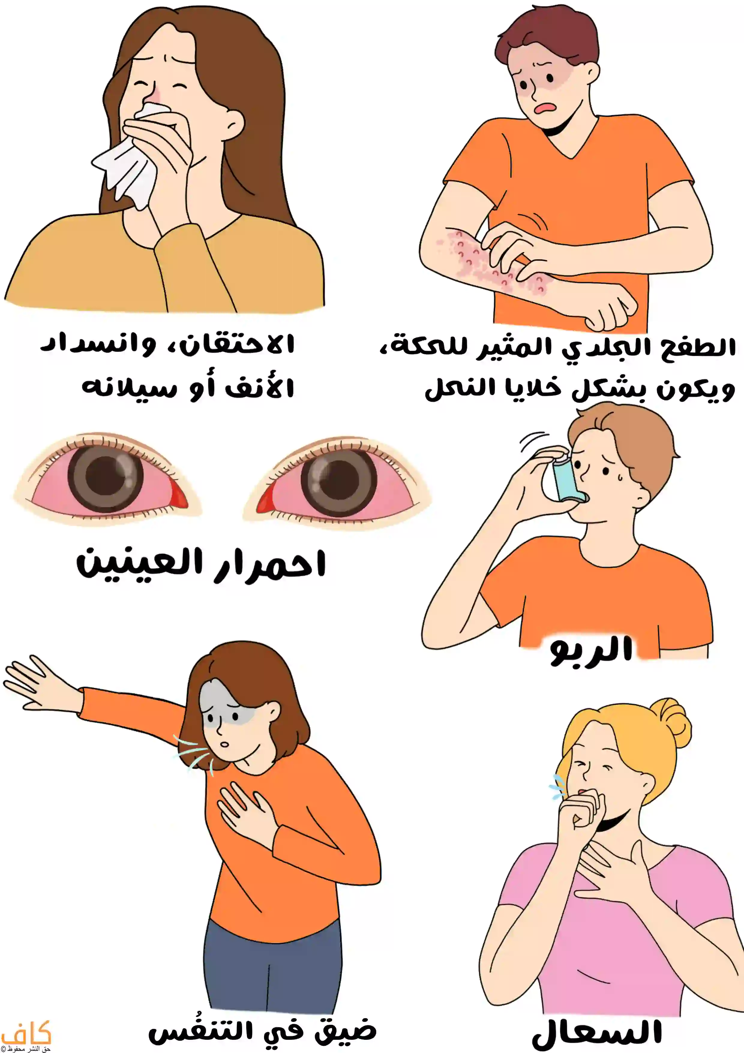 رسمة توضيحية تُظهر امرأة تعطس وتمسك بمنديل، رجل يحكّ ذراعه بسبب طفح جلدي، عيون حمراء ومنتفخة، شخص يستخدم بخاخ الربو، امرأة تضع يدها على صدرها وتعاني صعوبة في التنفس، وأخرى تسعل وتضع يدها على فمها.
