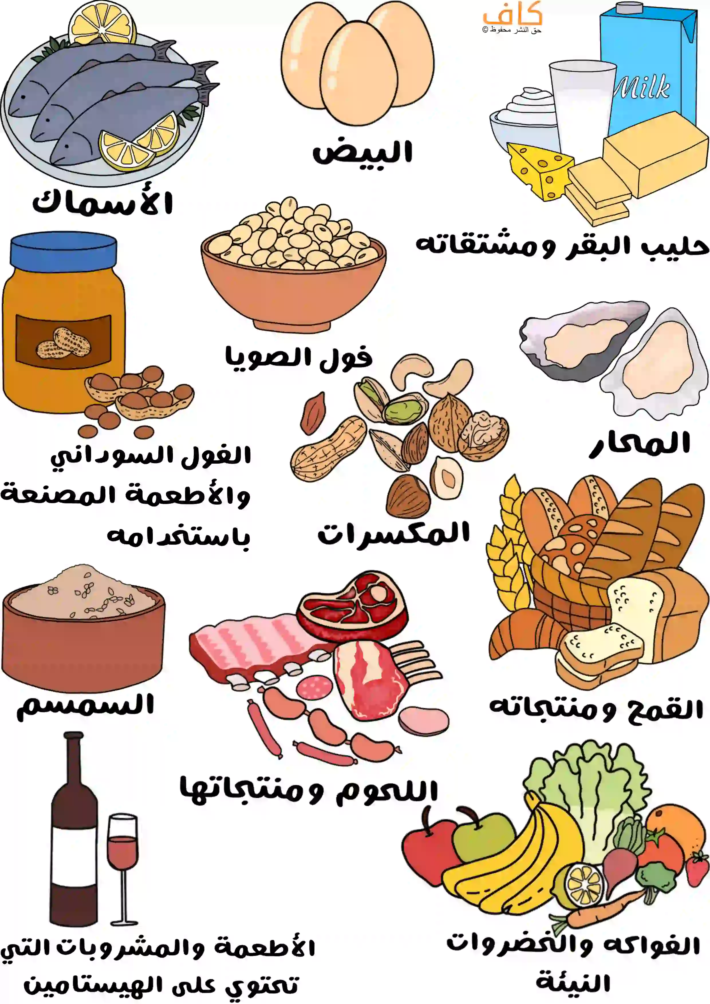 رسمة توضيحية تُظهر مجموعة من الأطعمة المسببة لحساسية الجلد عند الأطفال، مثل حليب البقر ومشتقاته، والبيض، والأسماك، والمحار، وفول الصويا، والفول السوداني، والمكسرات، والقمح ومنتجاته، والسمسم، واللحوم ومنتجاتها، والأطعمة والمشروبات التي تحتوي على الهيستامين، إضافة إلى الفواكه والخضروات النيئة.