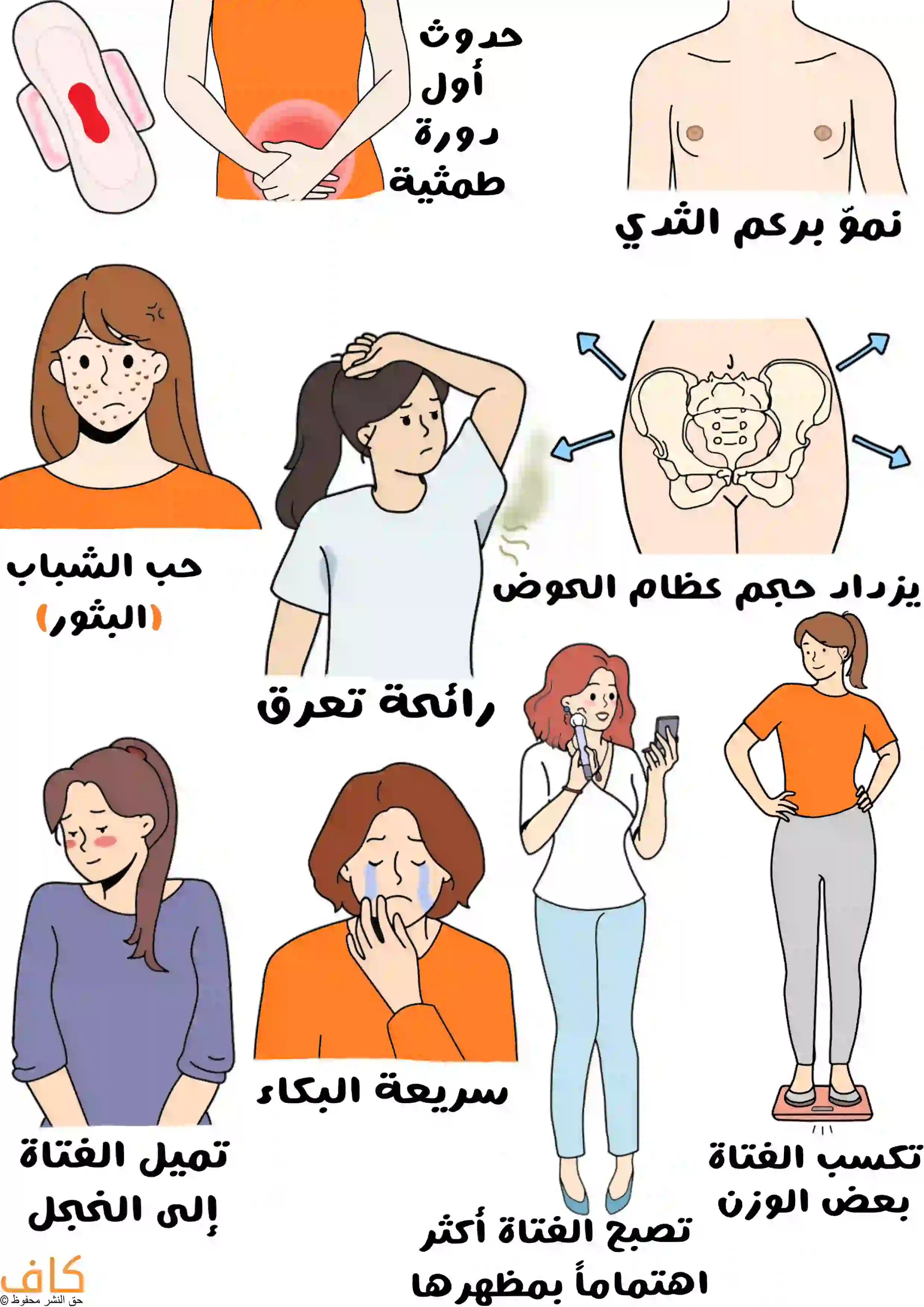 صورة توضيحية تُظهر نموّ برعم الثدي لدى فتاة، وحدوث أول دورة طمثية لفتاة تضع يدها على بطنها، واتساع عظام الحوض، وظهور حب الشباب ورائحة العرق، واكتساب بعض الوزن، وفتاة تهتم بمظهرها أمام المرآة، إضافةً إلى مظاهر الخجل وسرعة البكاء.