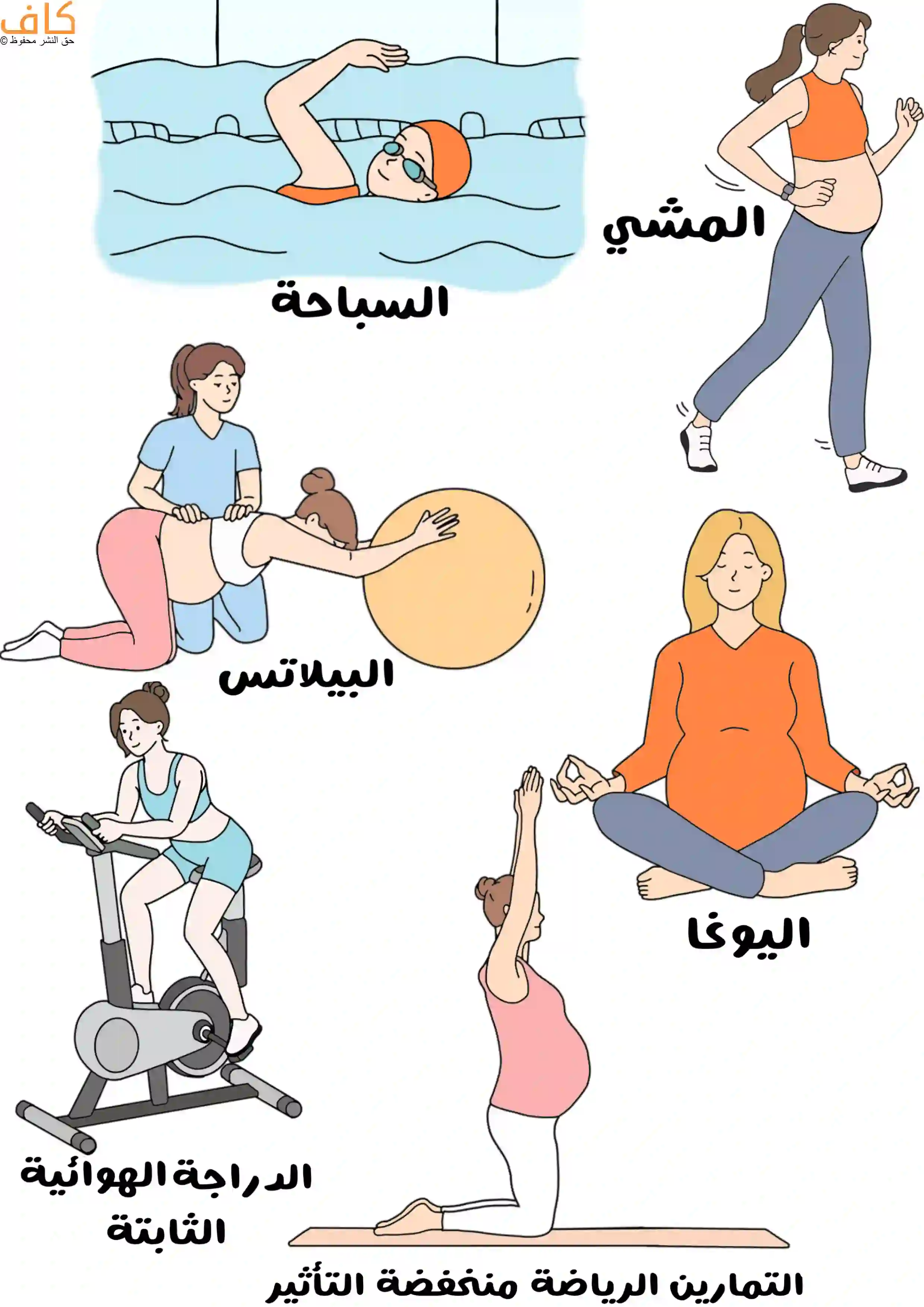 رسمة توضيحية تُظهر نساء حوامل يؤدين تمارين رياضية منخفضة التأثير، مثل المشي، والسباحة، واليوغا، والبيلاتس باستخدام الكرة المطاطية، وركوب الدراجة الهوائية الثابتة، وذلك ضمن بيئة آمنة ومريحة تعزز النشاط البدني خلال الحمل.