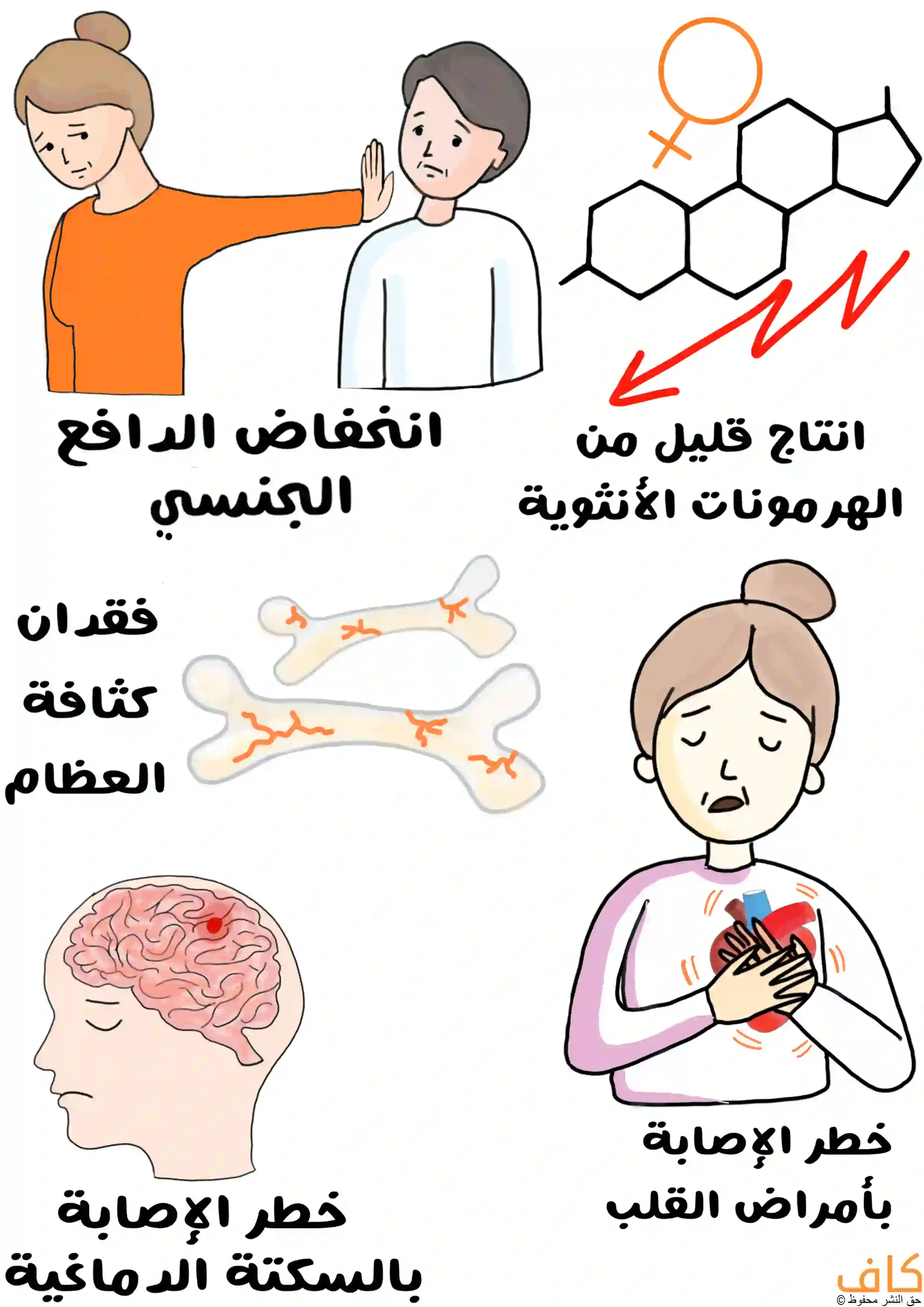 رسم توضيحي يُظهر ست لقطاتٍ وتشمل امرأة ترفض شريكها من خلال رفع كف يدها أمام وجهه للدلالة على ضعف الرغبة الجنسية لديها، وعظاماً هشّة، وامرأة تمسك صدرها في إشارة لأمراض القلب، ورسمة للدماغٍ وبداخله نقطة حمراء للدلالة على السكتة الدماغية.