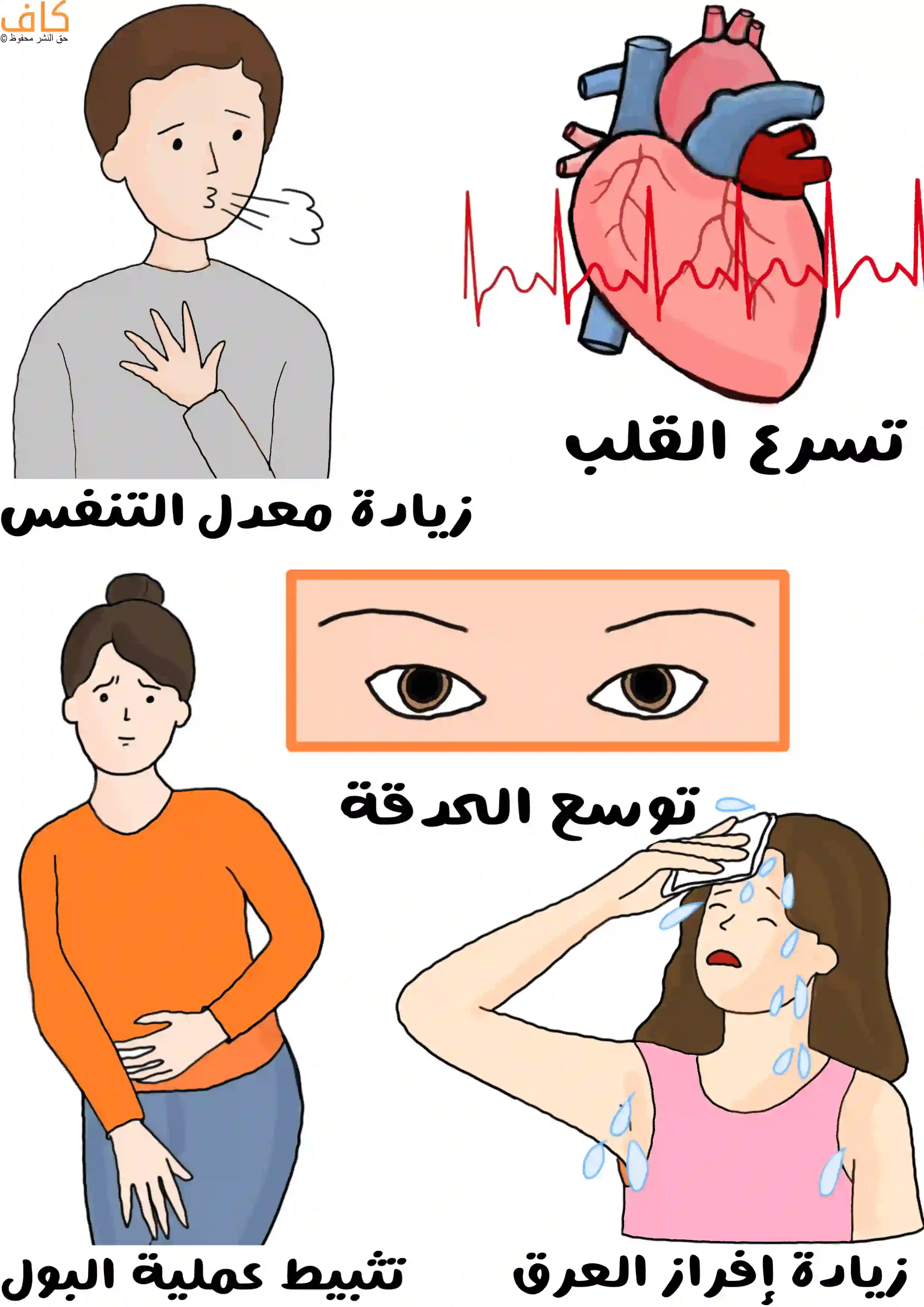 رسم توضيحي يبين تأثير التوتر على الجسم، يظهر شخص يتنفس بسرعة، وصورة قلب مع نبضات سريعة، وعينان متسعتان للدلالة على توسع الحدقة، وشخص يتعرق بغزارة، وآخر يمسك بطنه دلالة على تثبيط عملية التبول.