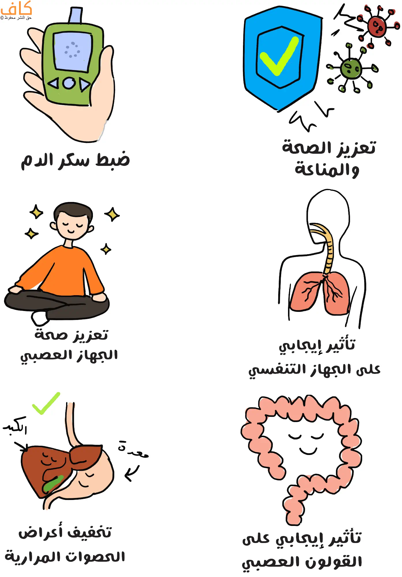 رسم توضيحي يُظهر تأثيرات الصيام الإيجابية على الجسم، منها ضبط سكر الدم، وتعزيز المناعة، وتحسين صحة الجهاز العصبي، وتأثير نافع على الجهاز التنفسي والقولون العصبي، وتخفيف أعراض الحصوات المرارية، ويُعبّر عن فوائد الصيام في دعم وظائف الجسم المختلفة وتحسين الصحة العامة.