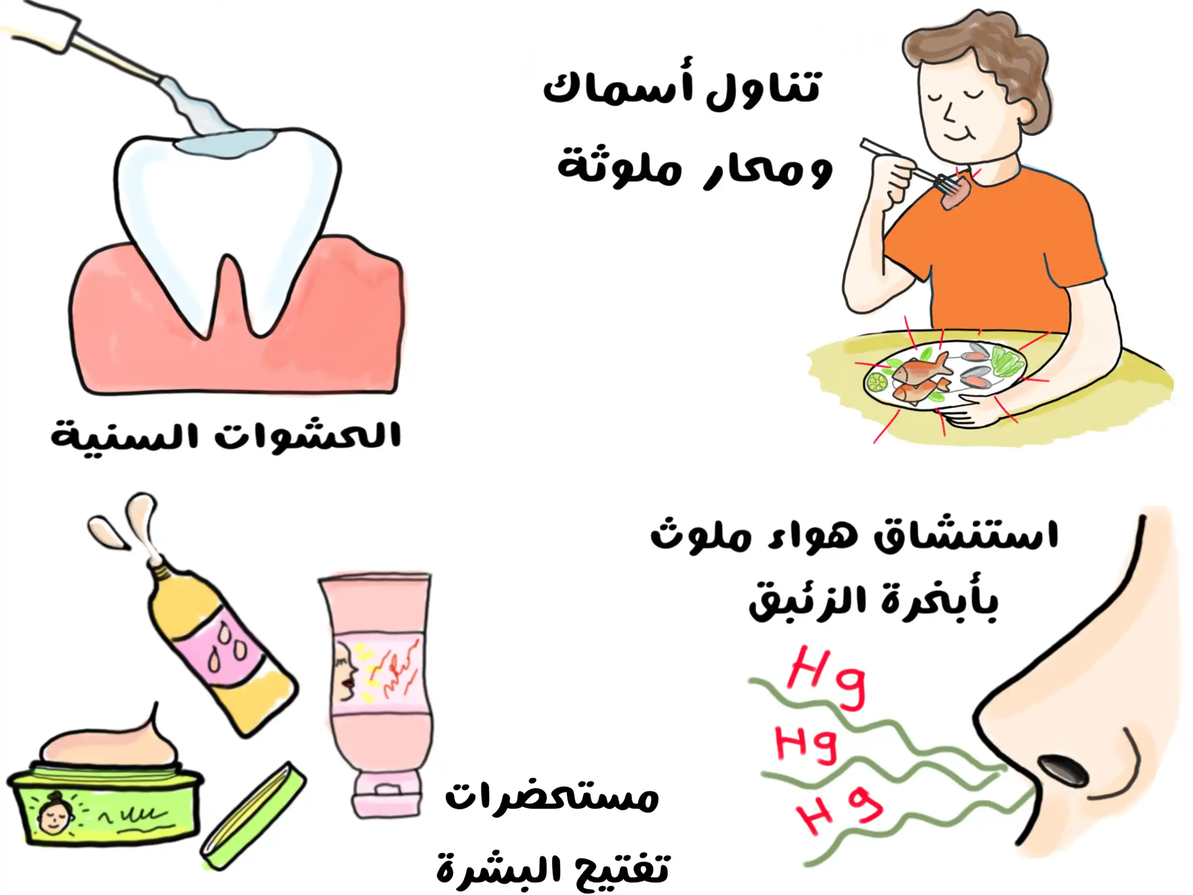رسم توضيحي يُظهر طرق دخول الزئبق إلى جسم الإنسان، حيث يبدو في الأعلى شخص يتناول الأسماك والمحار الملوثة، وفي الجهة اليمنى عملية استنشاق هواء ملوث بأبخرة الزئبق، وفي الأسفل تُعرض مستحضرات تجميل لتفتيح البشرة كمصدر آخر للتعرّض، بينما في اليسار تظهر صورة سن تُطبّق عليها الحشوة السنية التي قد تحتوي على الزئبق.