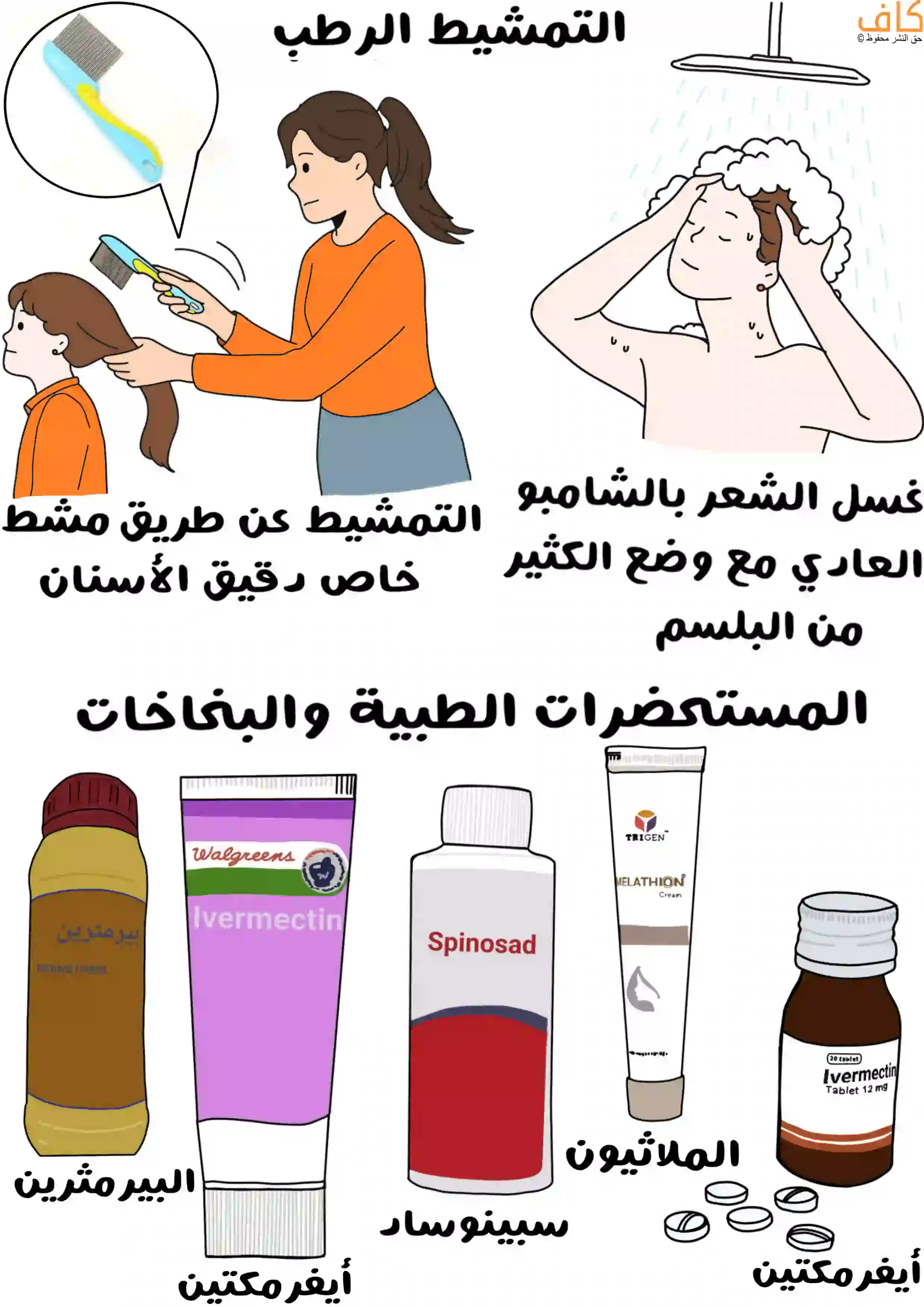 صورة توضيحية تُظهر امرأة تمشط شعر طفلة باستخدام مشط دقيق الأسنان لإزالة القمل، وصبياً يغسل شعره بالشامبو والبلسم، وأسفل الصورة عدة مستحضرات طبية لعلاج القمل مكتوب عليها أسماء مثل البيرمثرين، أيفرمكتين، سبينوساد، والملاثيون.