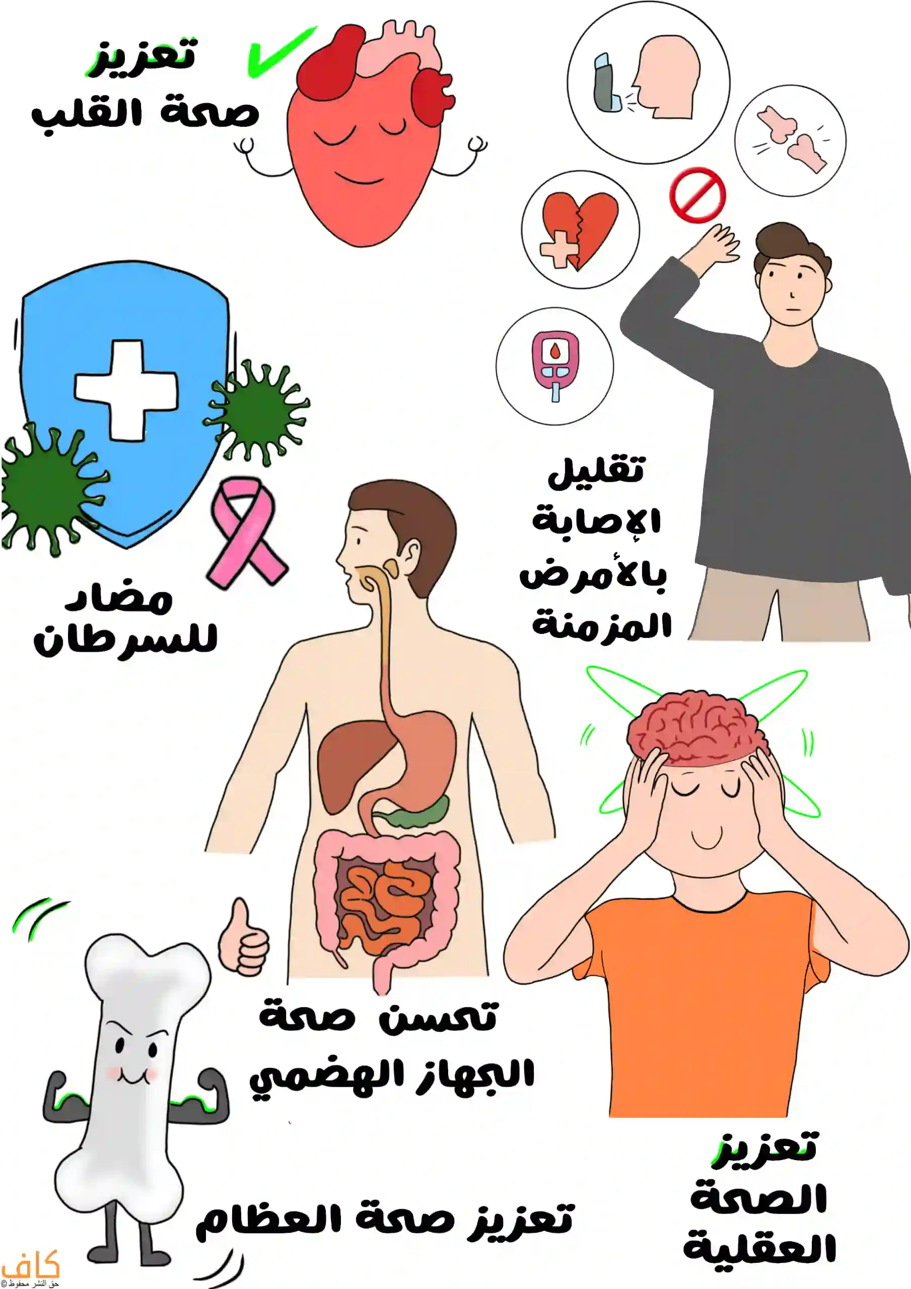 رسم توضيحي يُظهر قلب مبتسم للدلالة على تعزيز صحة القلب، وبجانبه رجل يشير إلى رموز أمراض مزمنة مع علامة المنع للدلالة على تقليل خطر الإصابة بها، وفي اليسار درع أزرق عليه علامة طبية وشريط وردي يرمزان إلى مقاومتها للسرطان، وفي المنتصف رسم لجهازٍ هضمي سليم للتعبير عن تحسن صحة الجهاز الهضمي، وفي الأسفل عظمة قوية لها عضلات للدلالة على تعزيز صحة العظام، وعلى اليمين دماغ متوهّج حوله خطوط خضراء ترمز إلى تعزيز الصحة العقلية.