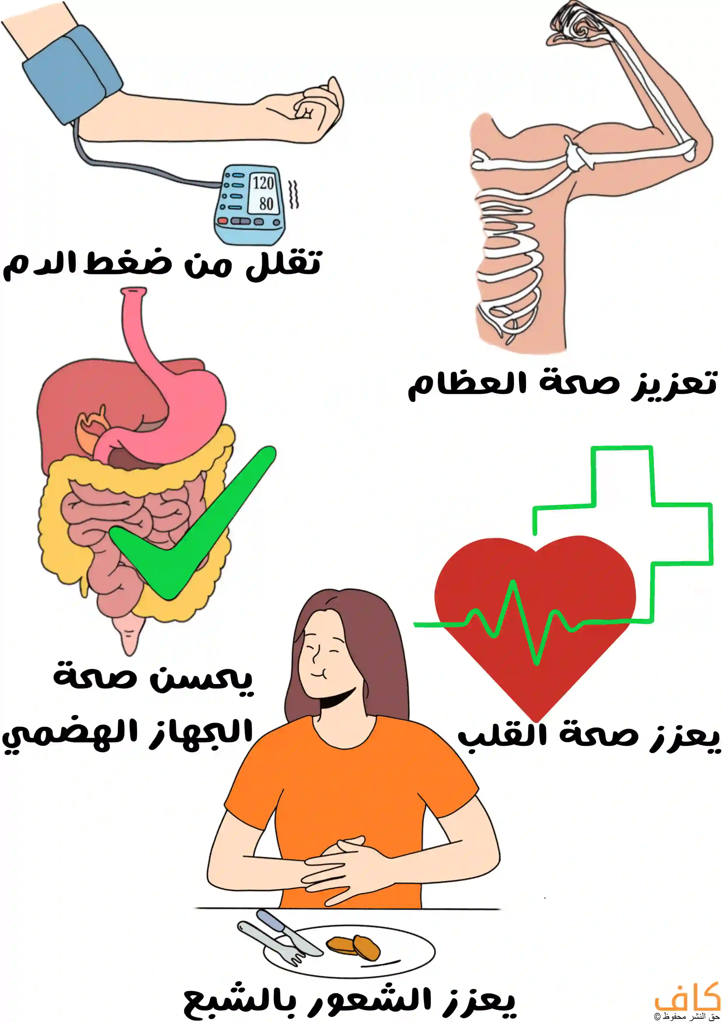 رسم توضيحي يتضمن صوراً رمزية لجهاز قياس ضغط الدم، وهيكل عظمي، وجهاز هضمي، وقلب نابض، وامرأة تجلس أمام طبق طعام صغير وهي تضع يديها على بطنها دلالة على احساسها بالشبع.
