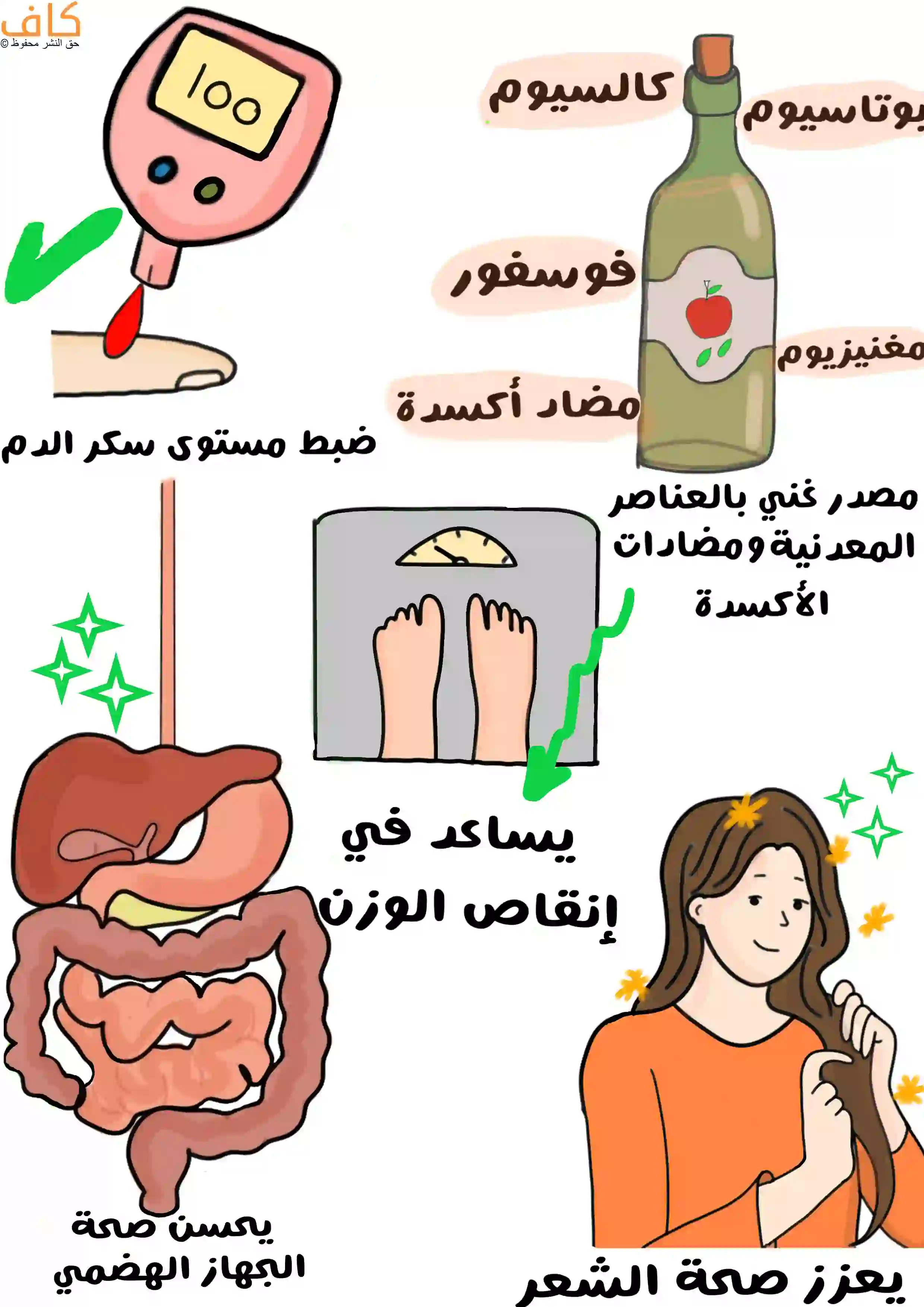 رسم توضيحي يُظهر زجاجة خل التفاح كمصدر غني بالبوتاسيوم والمغنيسيوم والكالسيوم والفوسفور ومضادات الأكسدة، مع صور رمزية تُبيّن ضبط مستوى سكر الدم، تحسين صحة الجهاز الهضمي، المساعدة في إنقاص الوزن، وفتاة تمسك شعرها الطويل دلالة على تعزيز صحة الشعر.