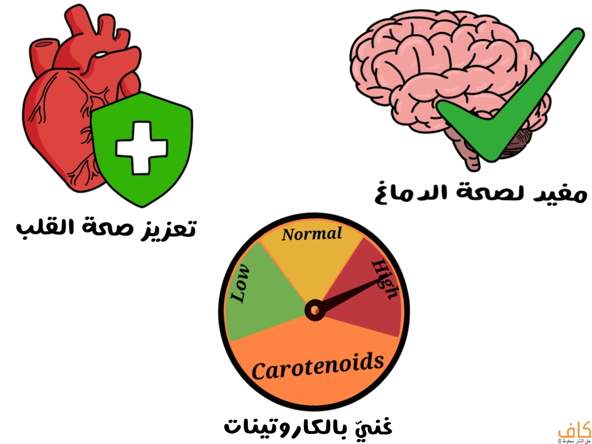 صورة توضيحية تُظهر دماغاً بجانبه علامة صح خضراء ترمز للفوائد المرتبطة بصحة الدماغ، وقلباً أحمر أمامه درع أخضر يرمز لحماية القلب، ومؤشراً دائرياً يشير إلى ارتفاع مستوى الكاروتينات.