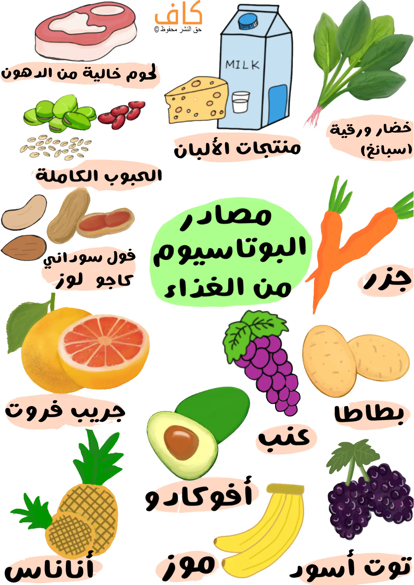 رسم توضيحي يُظهر مجموعة متنوعة من الأطعمة الغنية بالبوتاسيوم، تشمل الجزر، البطاطا، العنب، الموز، الأفوكادو، الأناناس، الجريب فروت، التوت الأسود، الخضار الورقية كالسبانخ، الحبوب الكاملة، منتجات الألبان مثل الحليب والجبن، المكسرات كالكاجو واللوز والفول السوداني، ولحومًا خالية من الدهون، ويُعبّر عن مصادر البوتاسيوم الغذائية الطبيعية.