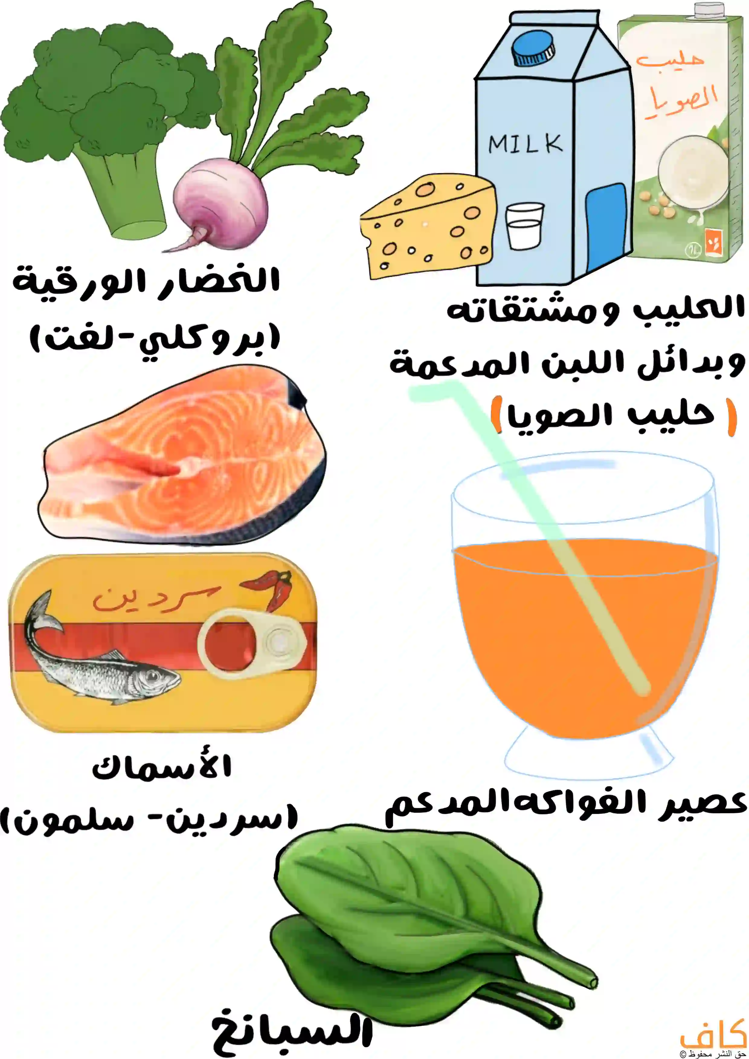 رسم توضيحي يُظهر أبرز مصادر الكالسيوم، مثل الخضار الورقية (البروكلي واللفت)، السبانخ، الأسماك (السردين والسلمون)، الحليب ومشتقاته، بدائل اللبن المدعمة مثل حليب الصويا، وعصير الفواكه المدعم بالكالسيوم.