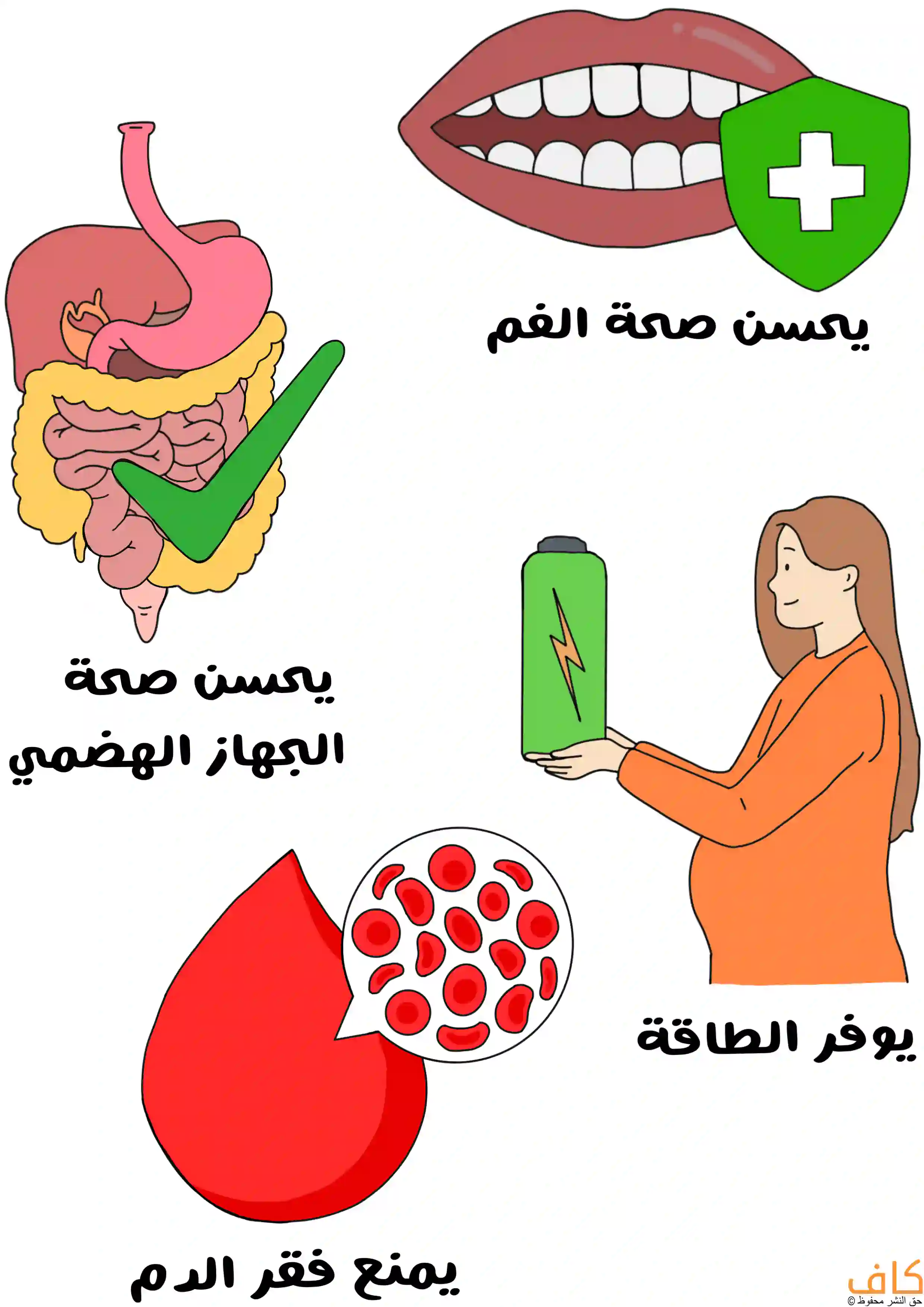 رسم توضيحي يُظهر رموزًا تعبّر عن فوائد العنب المجفف للحامل، منها فم بأسنان نظيفة بجانبه درع أخضر اللون، وجهاز هضمي بجانبه علامة صحٍّية خضراء تشير لتحسين الهضم، وامرأة حامل تحمل بطارية خضراء ترمز لتوفير الطاقة، وقطرة دم كبيرة تحتوي على خلايا دم حمراء تمثل الوقاية من فقر الدم.