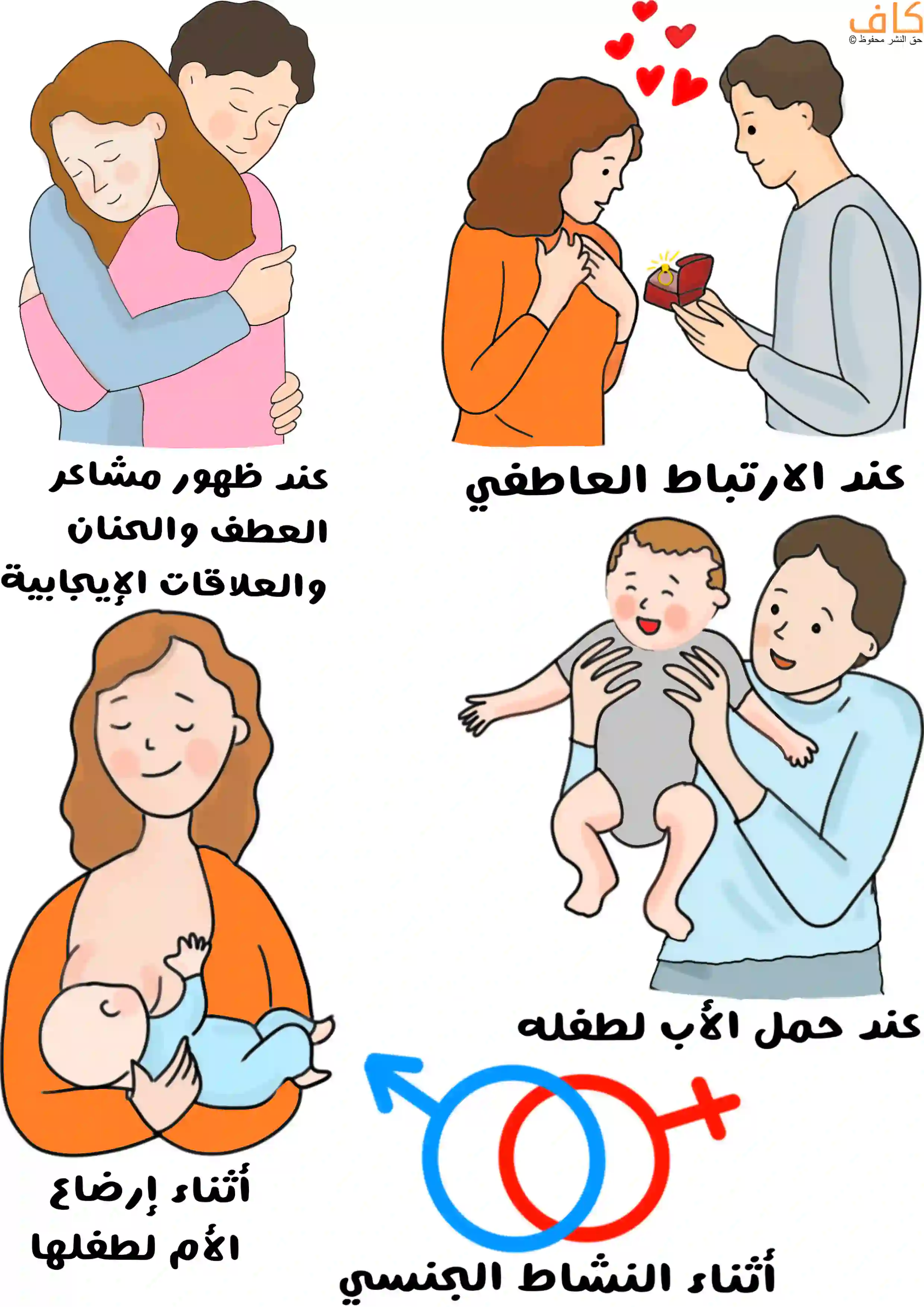 رسم توضيحي يُظهر مواقف مختلفة يرتفع فيها إفراز هرمون الأوكسيتوسين، تشمل زوجين يعانقان بعضهما، ورجلًا يقدّم خاتمًا لامرأة في تعبير عن ارتباط عاطفي، وأمًا تُرضع طفلها، وأبًا يحمل طفله وهو مبتسم، ورمزين لشعار الجنسين للدلالة على النشاط الجنسي بين الأزواج.