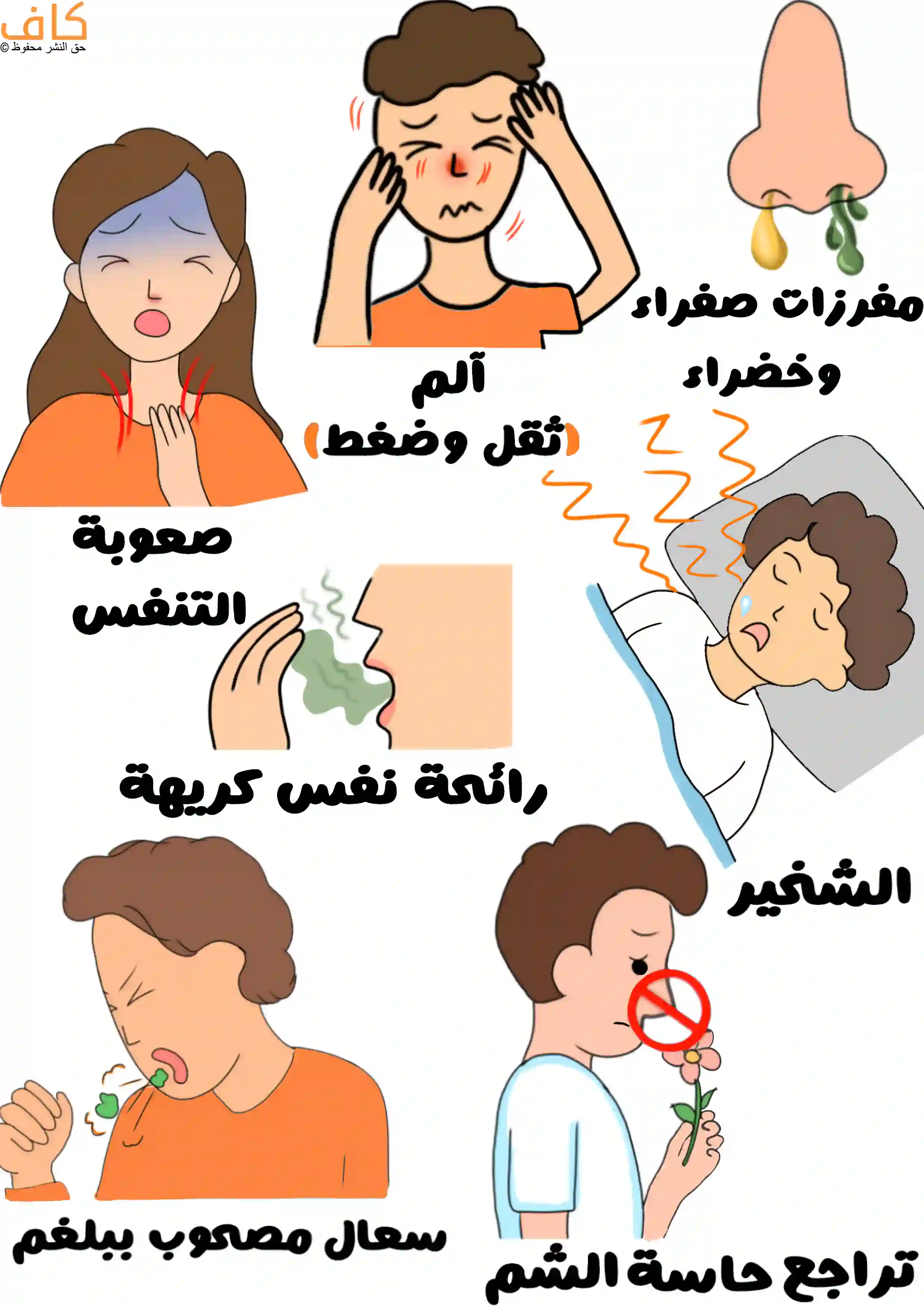 رسم توضيحي يوضح أعراض التهاب الجيوب الأنفية المزمن، ويشمل ألم الوجه مع الإحساس بالثقل والضغط، صعوبة التنفس، إفرازات أنفية صفراء أو خضراء، رائحة نفس كريهة، الشخير أثناء النوم، سعال مصحوب ببلغم، وتراجع حاسة الشم.