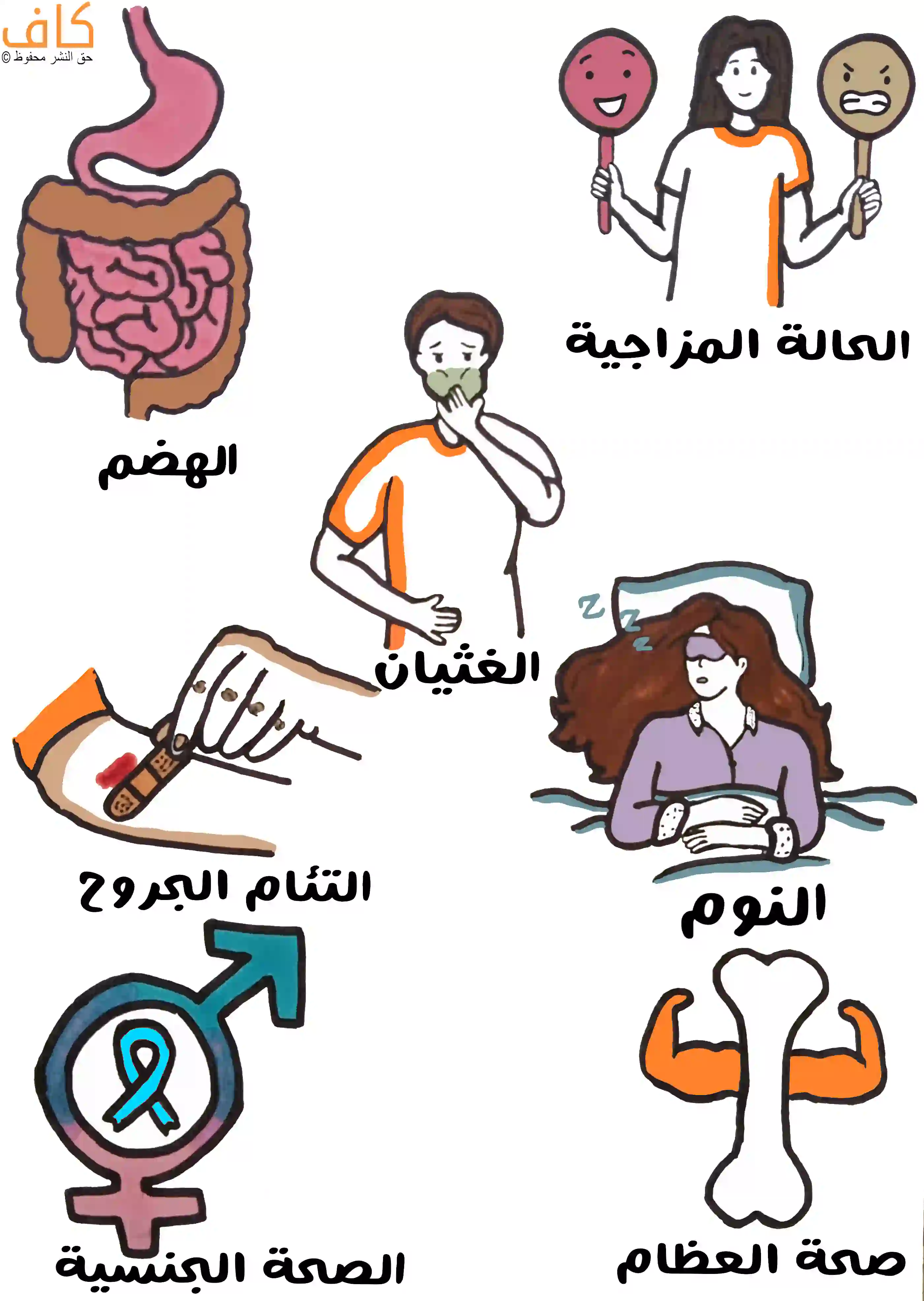 رسم توضيحي يَعرض وظائف متعددة لهرمون السيروتونين في الجسم، تشمل الجهاز الهضمي، وتنظيم الحالة المزاجية، وتقليل الغثيان، وتسريع التئام الجروح، وتنظيم النوم، ودعم الصحة الجنسية، والمساهمة في صحة العظام.