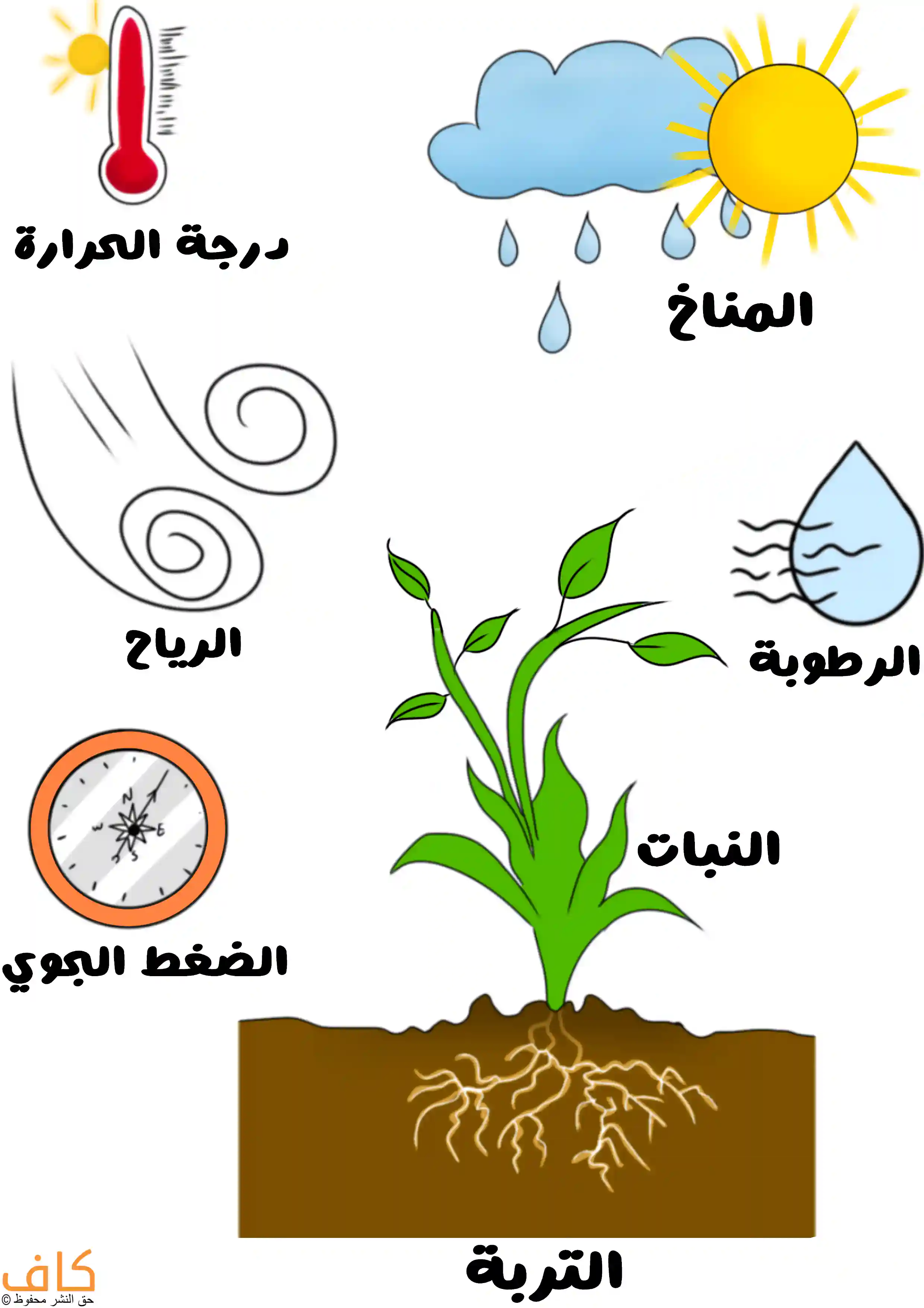 رسم توضيحي يُظهر نبتة خضراء بجذور ممتدة داخل التربة، وحولها رموز تمثل درجة الحرارة، والمناخ مع الشمس والأمطار، والرياح، والرطوبة، والضغط الجوي، مع إبراز دور التربة والنبات في فقد الماء عبر الأوراق.