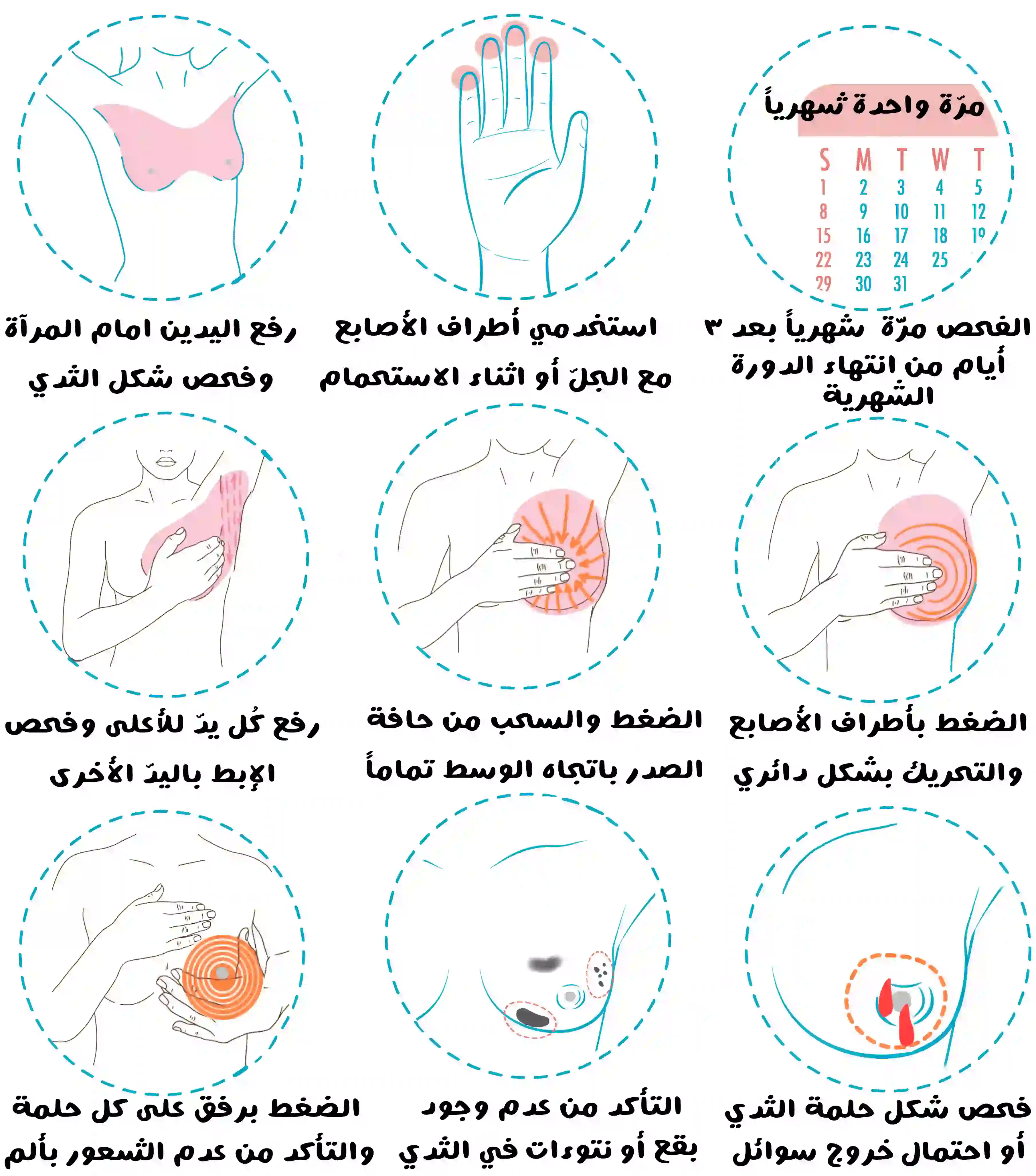 رسم توضيحي متسلسل يوضح خطوات الفحص الذاتي للثدي، يشمل فحص الثدي أمام المرآة، استخدام أطراف الأصابع أثناء الوقوف أو الاستحمام، تحريك اليدين بشكل دائري على الثدي، الضغط الخفيف من الحافة إلى الوسط، وفحص الحلمة للتأكد من عدم وجود إفرازات أو تغيرات شكلية فيها.