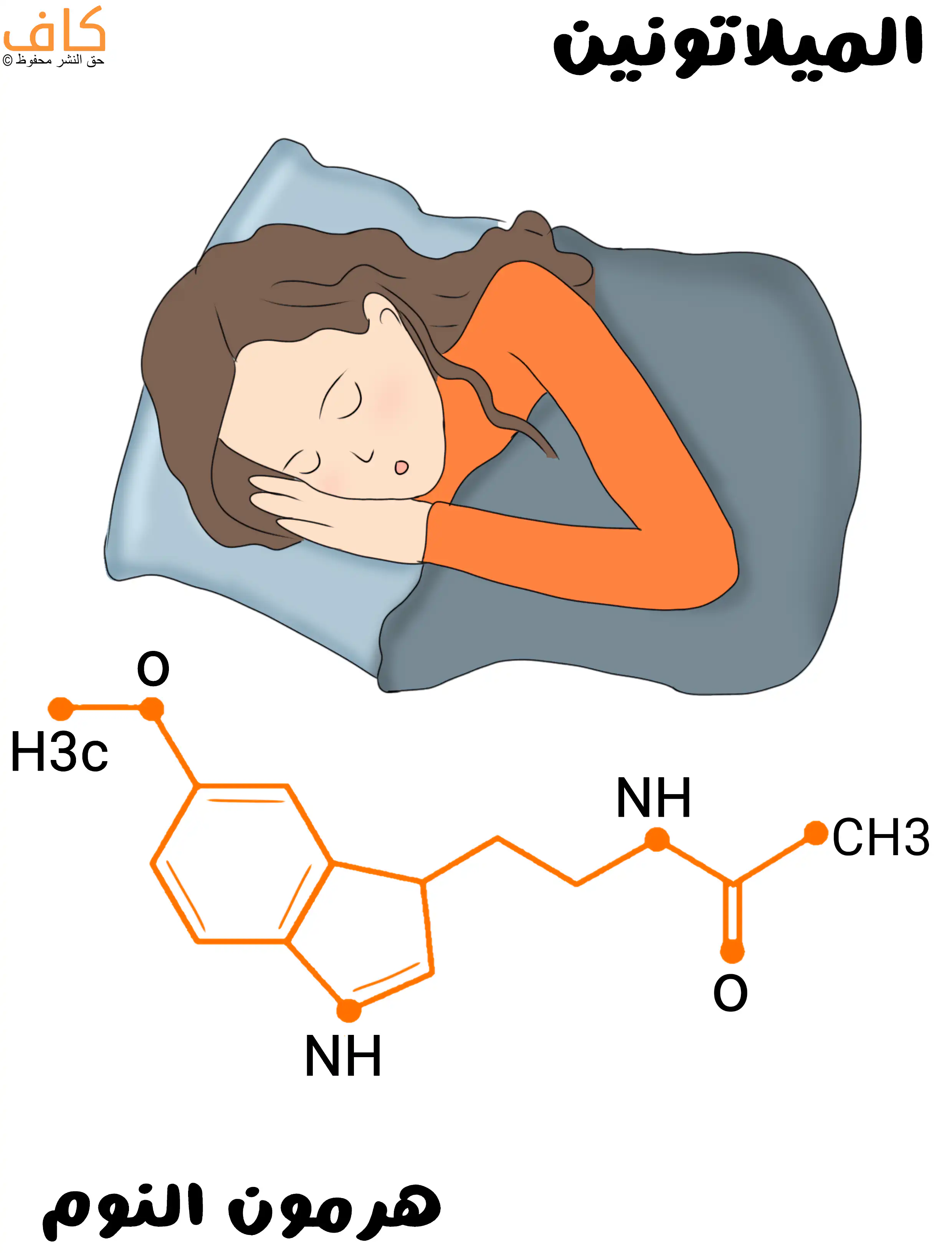 رسم توضيحي يُظهر امرأة نائمة على جانبها في سريرها، وأسفلها يوجد تمثيل بصري للصيغة الكيميائية لهرمون الميلاتونين، ويُعبّر عن دور هرمون النوم في تنظيم الإيقاع اليومي والمساعدة على النوم.