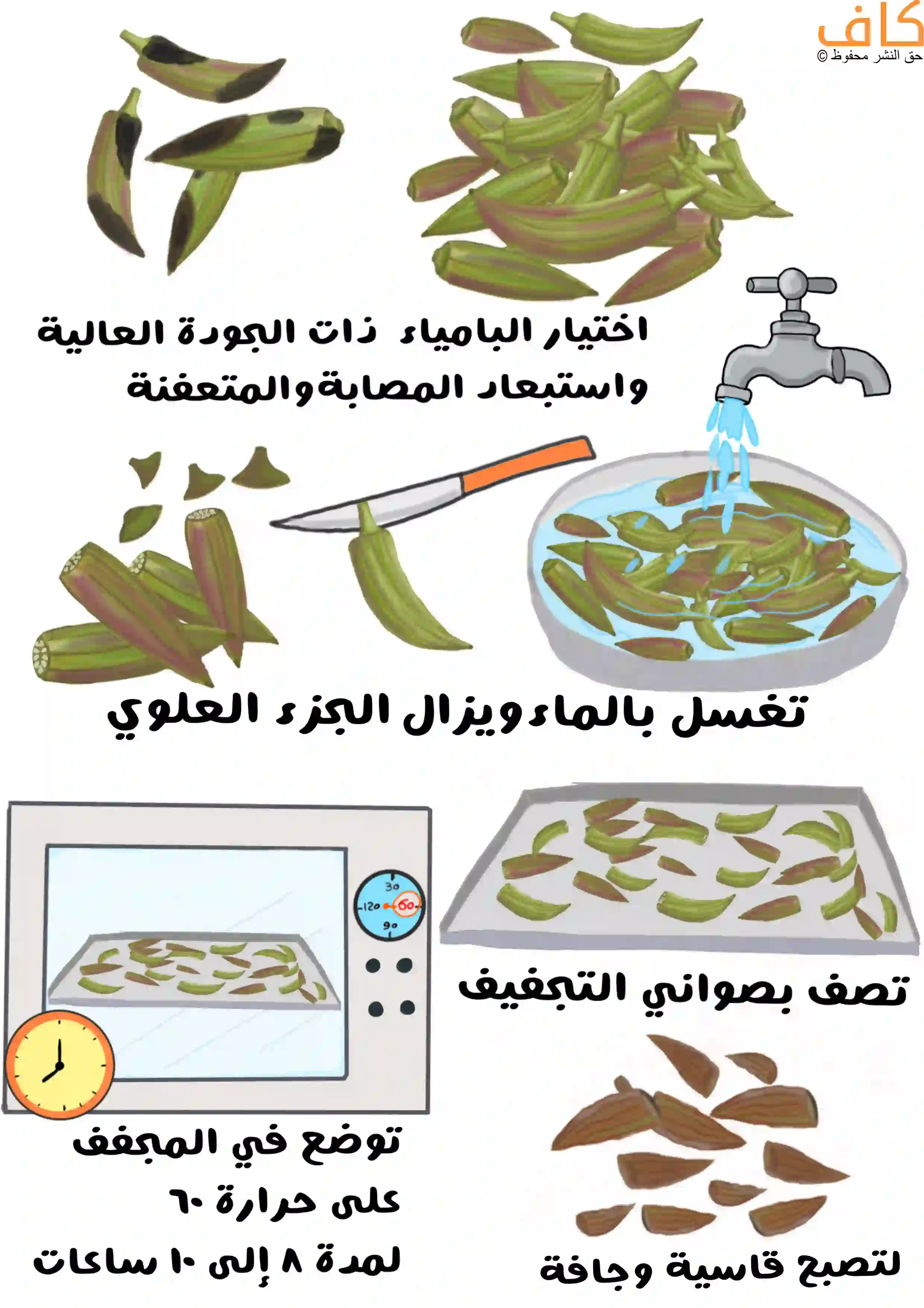 رسم توضيحي يَعرض خطوات صناعة البامية المجففة، تشمل اختيار قرون بامية طازجة وخالية من التلف، وغسلها بالماء، وإزالة الجزء العلوي بالسِّكين، ثم تقطيعها ونشرها على صواني التجفيف، ووضعها في المجفف أو الفرن على درجة حرارة منخفضة حتى تصبح جافة وقاسية.