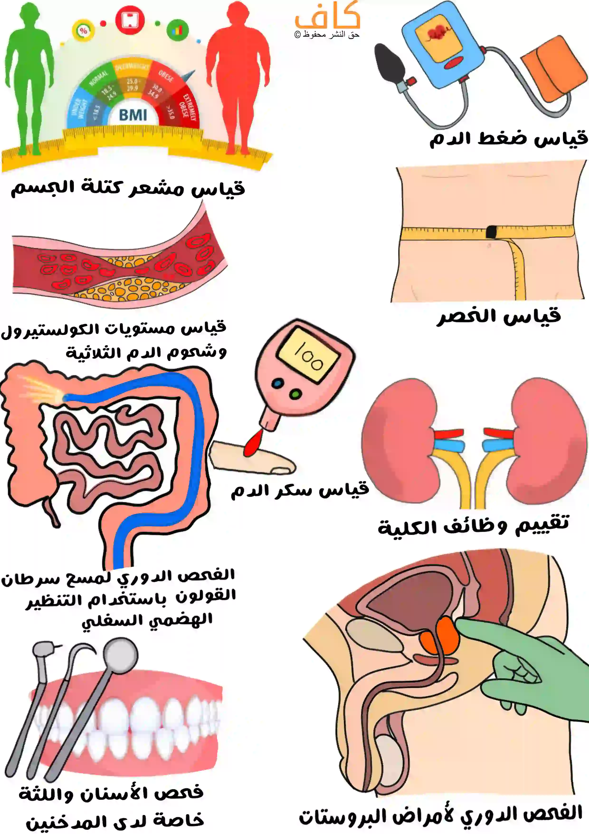 ماهي أهم التطبيقات العملية للفحص الدوري في المجال الصحي؟عند الرجال
