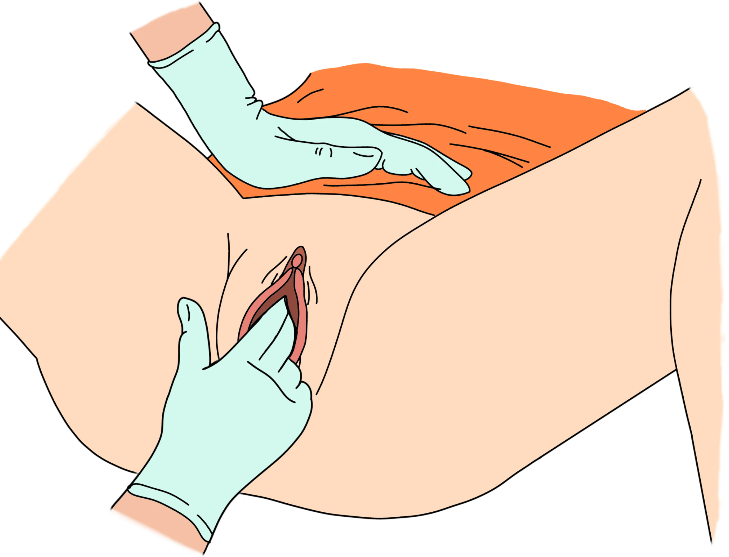 أجراء فحص للحوض 2