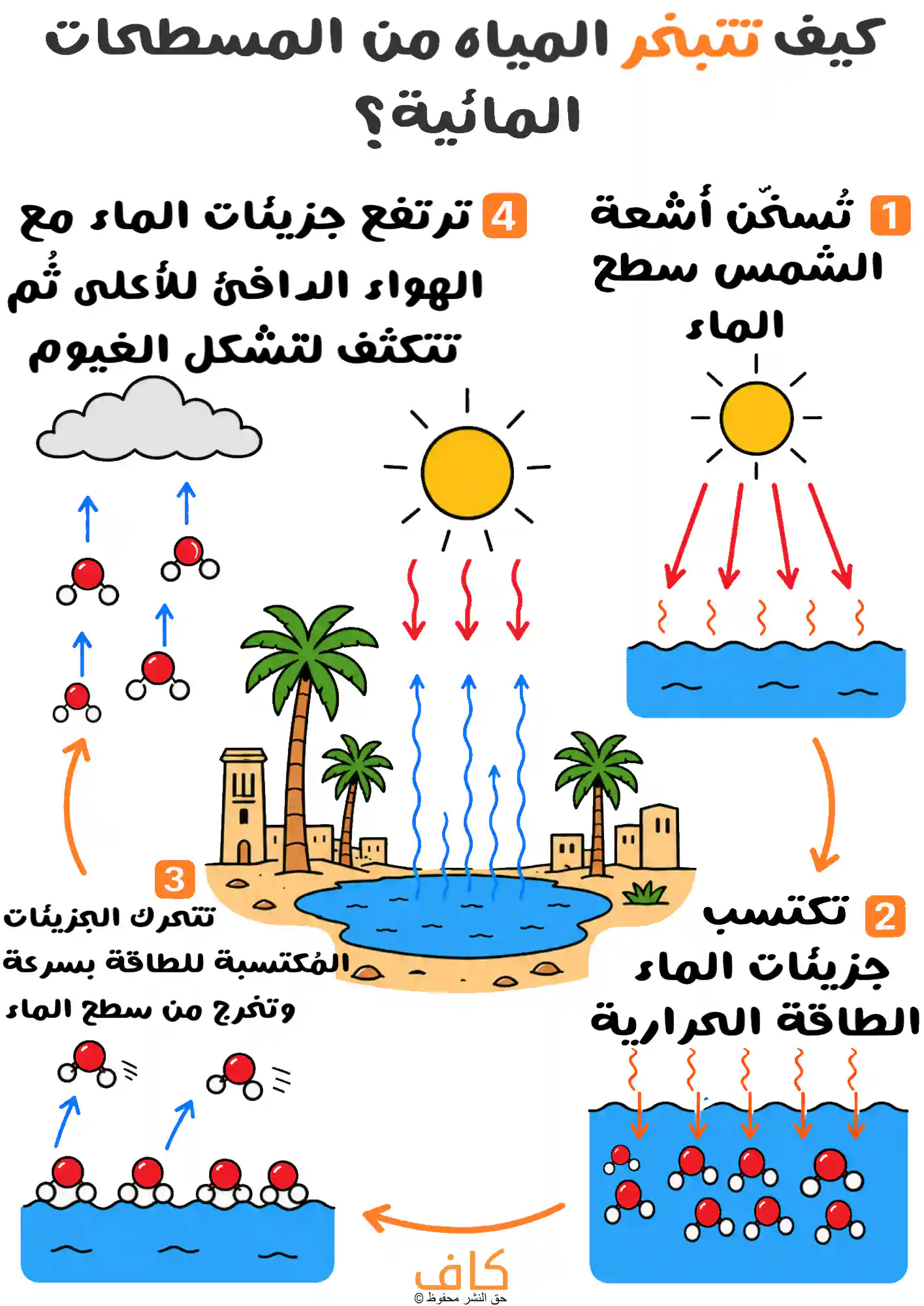 كيف تتبخر المياه من المسطحات المائية