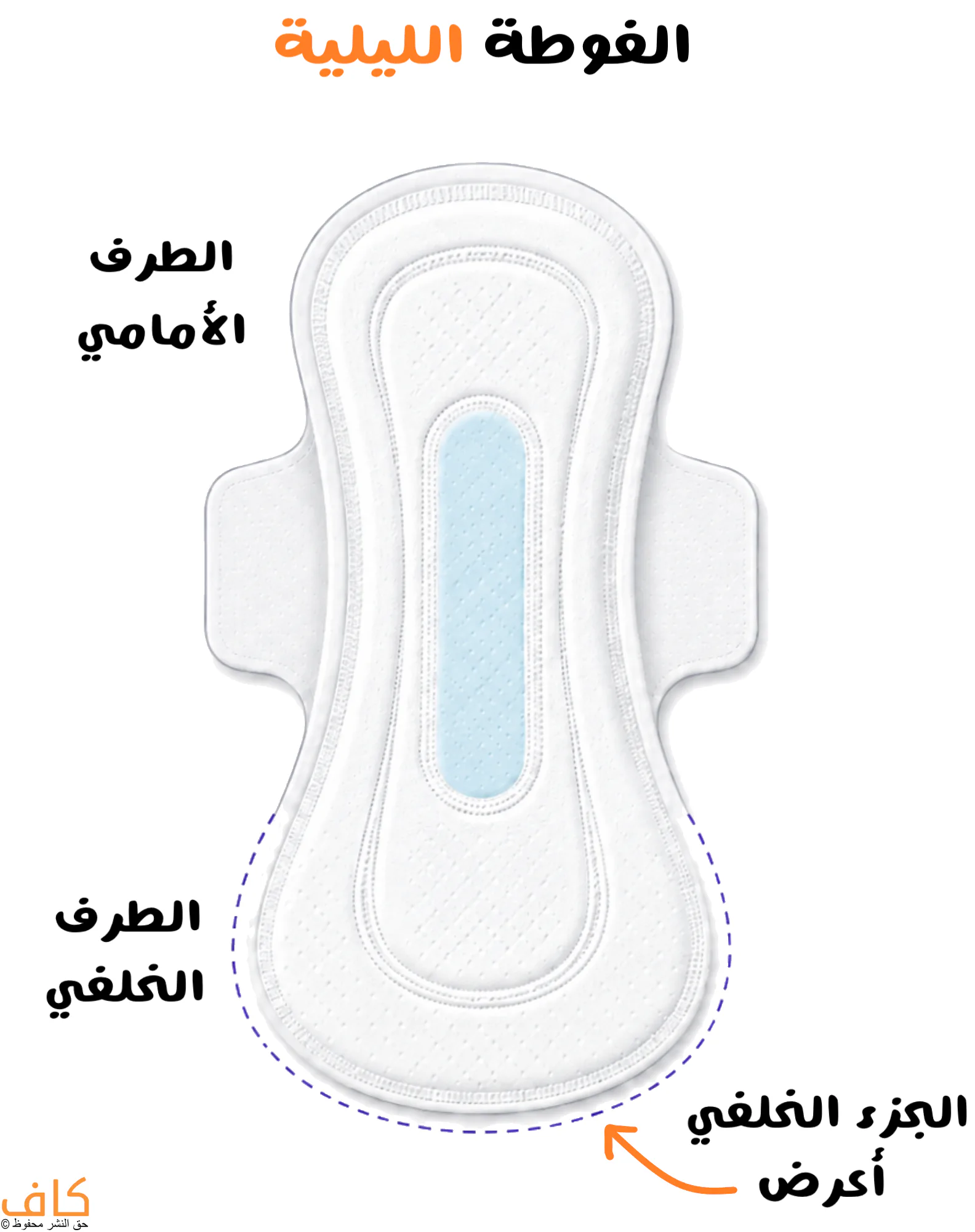 شكل فوطة صحية ليلية طويلة ذات جزء خلفي أعرض لتقليل تسرب دم الدورة أثناء النوم.