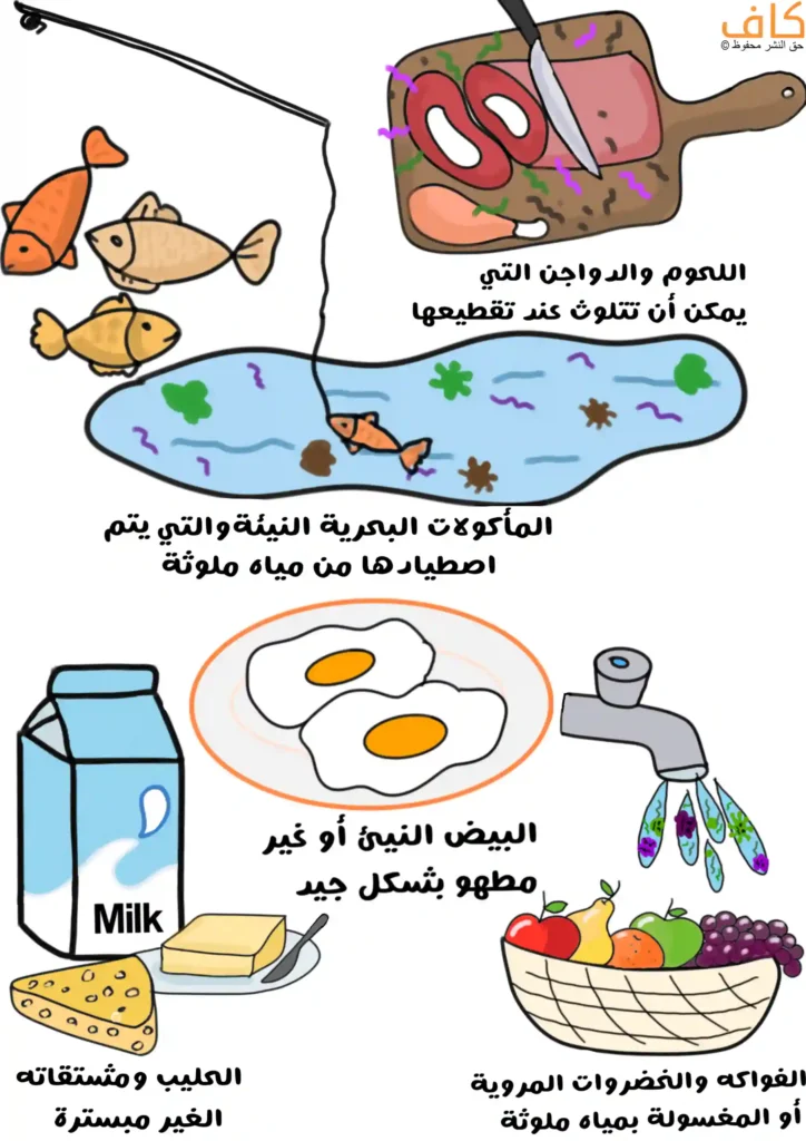 رسم توضيحي يضم أسماكًا في مياه ملوثة، ولوح تقطيع عليه لحم نيئ مع سكين وتنتشر حولهما ملوثات، وبيضًا غير مطهو جيدًا، وحليبًا وجبنًا، وصنبور يخرج منه ماء ملوث ويسقط على سلة فواكه وخضروات.
