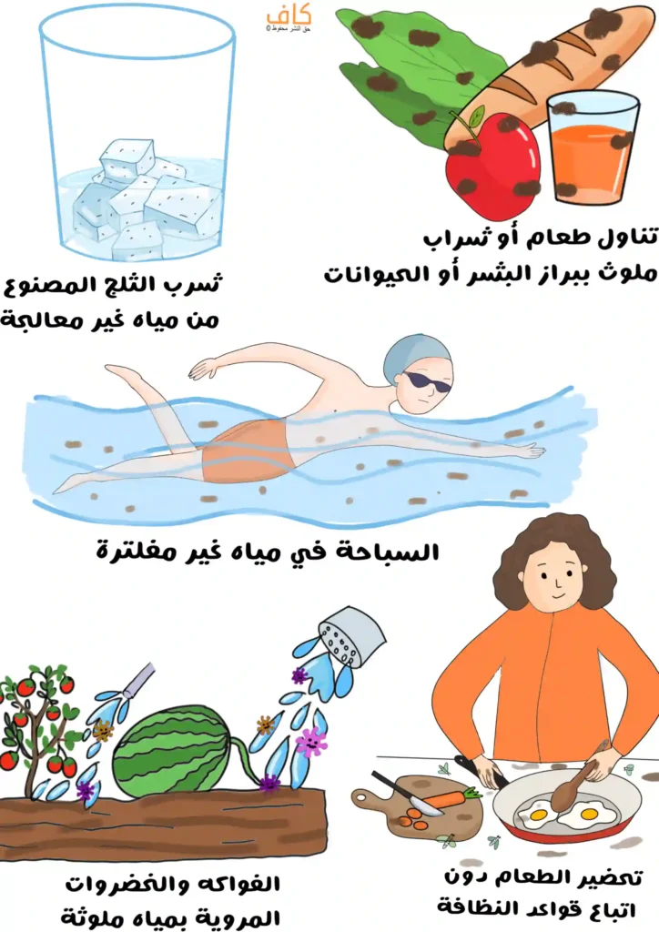 رسم توضيحي يَعرض كوب يحتوي على مكعبات ثلج بداخلها شوائب، وأطعمة تشمل خبزاً وخضروات وتفاحة وكوب شراب تظهر عليها بقع بنية، وشخص يسبح في ماء يحتوي على جسيمات بنية طولية، ونباتات وفاكهة تُسقى بمياه تحتوي على جسيمات بنفسجية، وشخص يُحضّر طعامًا على موقد تنتشر حوله الأوساخ.