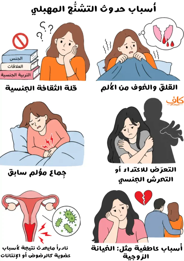 رسم توضيحي يوضح أسباب التشنج المهبلي، ومنها القلق والخوف من الألم، وقلة الثقافة الجنسية، والتعرض السابق للاعتداء أو التحرش، والجماع المؤلم، والأسباب العاطفية، ونادرًا بعض الأسباب العضوية.