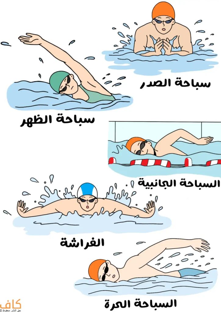 رسم توضيحي يُظهر شخص يسبح على الظهر بذراع ممدودة خارج الماء، وشخص يسبح على الصدر مع الرأس مرفوعًا والذراعين متقابلتين أمام الجسم، وشخص يسبح على جانبه بمحاذاة حافة المسبح، وشخص يؤدي حركة الفراشة بذراعين ممدودتين إلى الجانبين مع تناثر الماء، وشخص يسبح بوضعية حرة مع تدوير الجسم وتحريك ذراع واحدة خارج الماء.