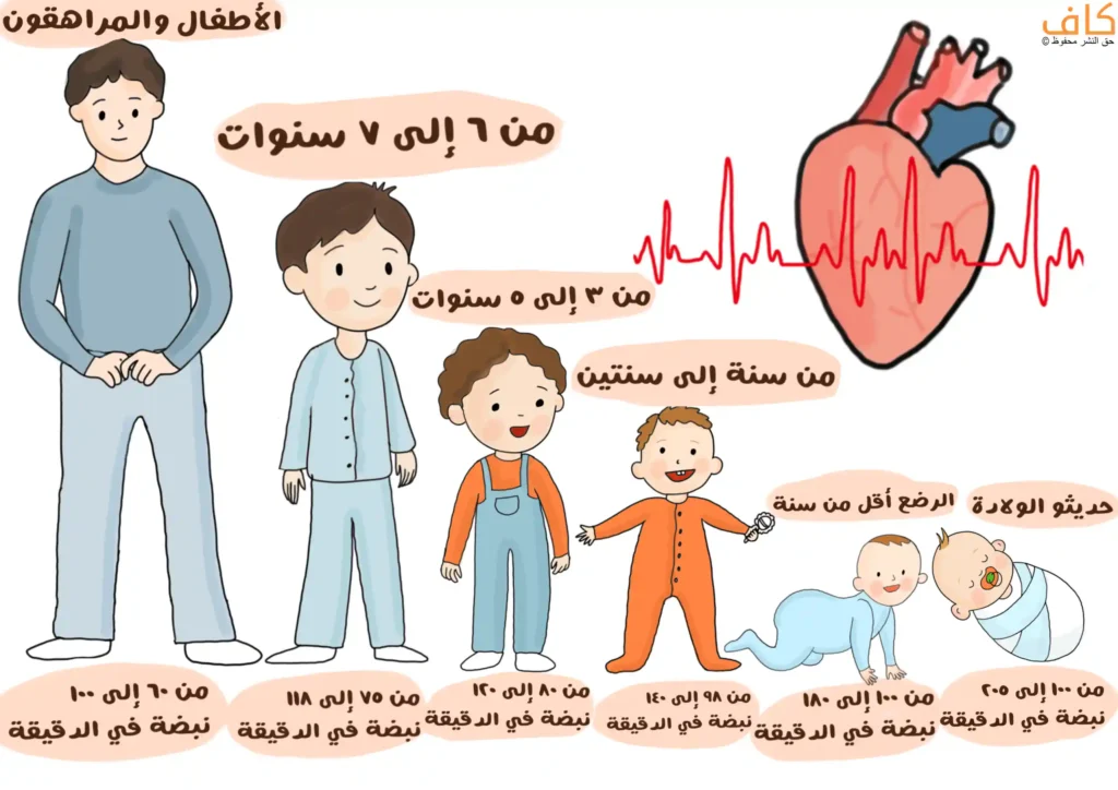 رسم توضيحي يبيّن اختلاف معدل نبض القلب لدى الأطفال والمراهقين حسب العمر، بدءًا من حديثي الولادة والرضّع، مرورًا بالأطفال في مراحل عمرية مختلفة، وصولًا إلى المراهقين، مع توضيح عدد النبضات في الدقيقة لكل فئة عمرية إلى جانب رسم للقلب ومخطط نبض.