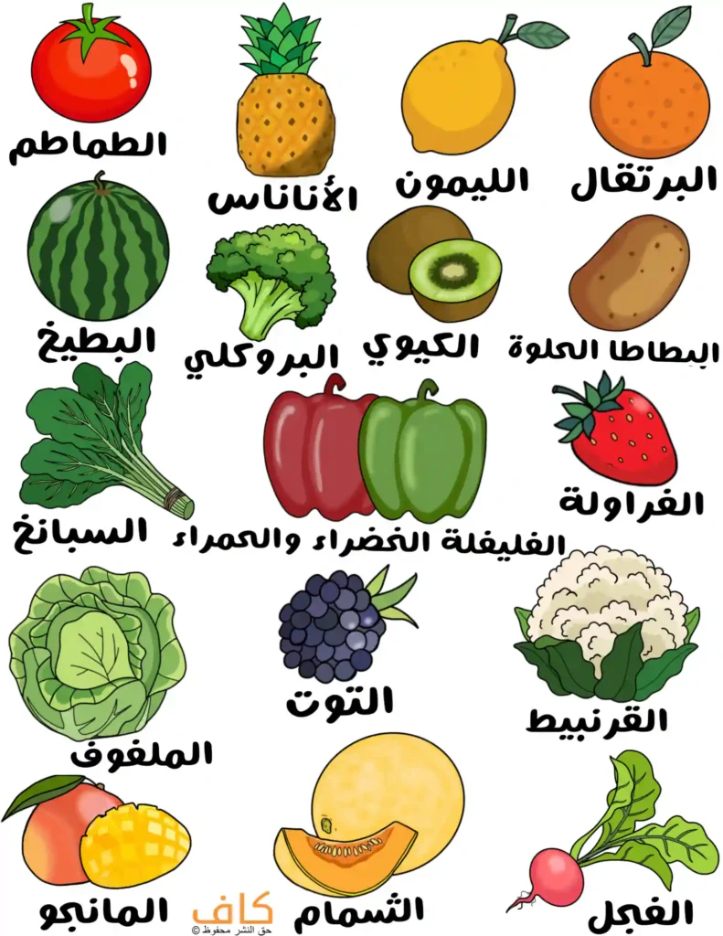رسم توضيحي يبيّن مجموعة متنوعة من الفواكه والخضروات الغنية بفيتامين C، مثل البرتقال، الليمون، الأناناس، الكيوي، الفراولة، التوت، الشمام، المانجو، البطيخ، الطماطم، البروكلي، السبانخ، الفليفلة، الملفوف، القرنبيط، البطاطا الحلوة، والفجل.