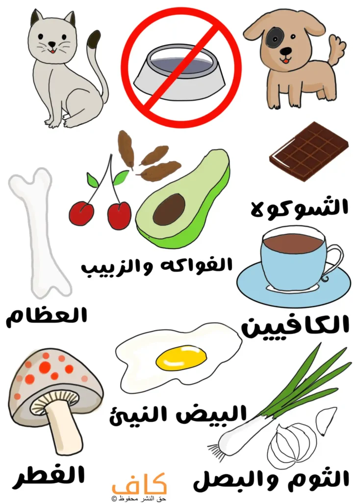 رسم توضيحي يضم قطة وكلبًا بينهما وعاء طعام عليه إشارة ممنوع، وصورًا لأطعمة متنوعة تشمل الشوكولاتة، فنجان قهوة، عظمة، كرز، أفوكادو، فطر، بيض نيئ، وثوم وبصل.