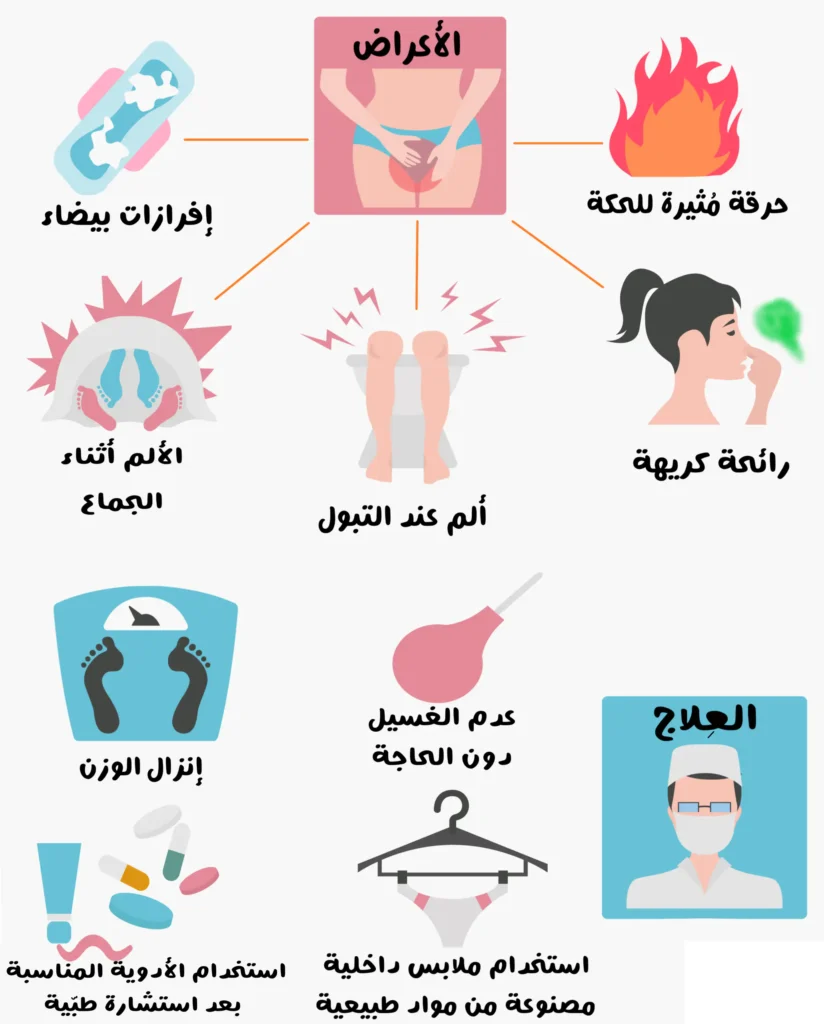 إنفوجرافيك يوضح أعراض التهاب المنطقة السفلية عند النساء، ويشمل رسومات لإفرازات بيضاء على فوطة نسائية، حرقة وحكة في منطقة المهبل، ألم أثناء التبول، ألم أثناء الجماع، رائحة كريهة، فقدان وزن غير مبرر، وعدم استخدام الغسول المهبلي، مع قسم يوضح طرق العلاج والوقاية.