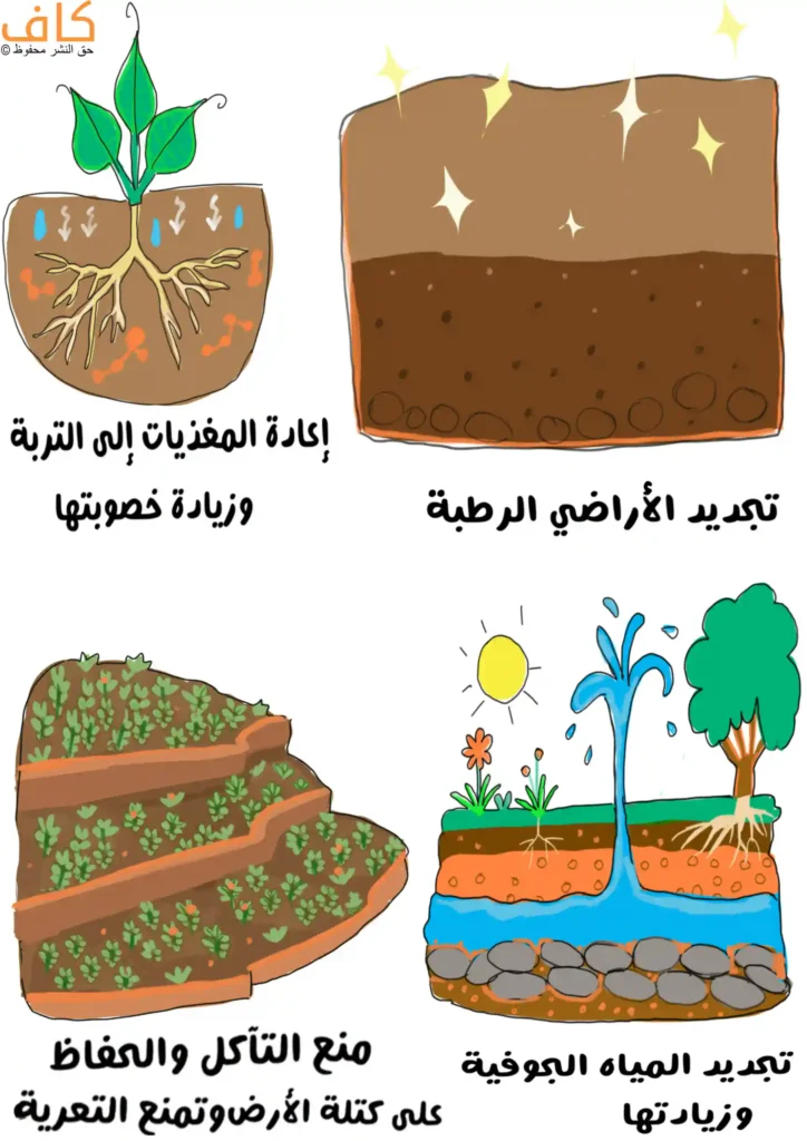 رسم توضيحي يبيّن الصفات الإيجابية للفيضانات، حيث تظهر تربة زراعية مع نبات وجذور تمتص المياه والمغذيات، وطبقات تربة رطبة ومتجددة، ومدرجات زراعية تمنع التآكل، ومقطع أرضي يوضح تسرب المياه إلى باطن الأرض لتغذية المياه الجوفية.