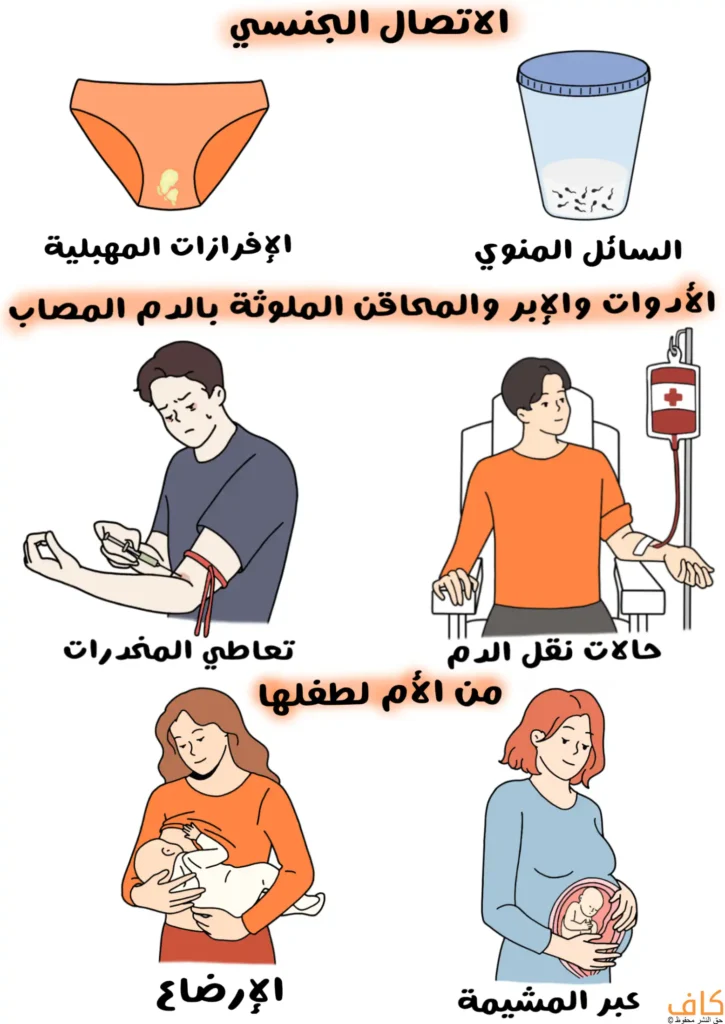 رسم توضيحي يُظهر ملابس داخلية عليها إفرازات مهبلية، وكوب يحتوي على سائل منوي، ورجل يحقن ذراعه بإبرة مع آثار دم، وشخص يجلس متصلًا بكيس نقل دم، وامرأة ترضع طفلًا رضيعًا، وامرأة حامل يظهر الجنين داخل رحمها.