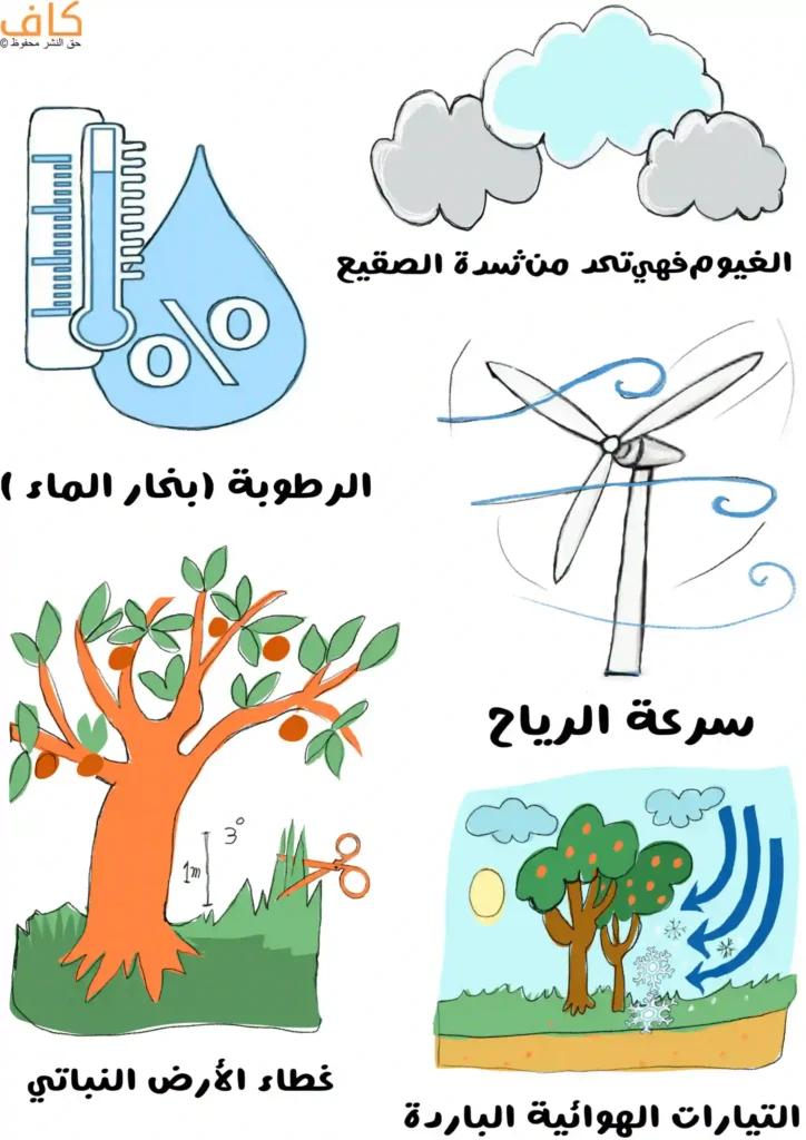 رسم توضيحي يضم عناصر مناخية متعددة تشمل مقياس حرارة مع رمز الرطوبة، غيوم بدرجات ألوان مختلفة، مروحة هوائية تدل على حركة الرياح، شجرة مع غطاء نباتي مقصوص بارتفاع واحد، ومشهد لتيارات هوائية باردة تتحرك قرب الأشجار.