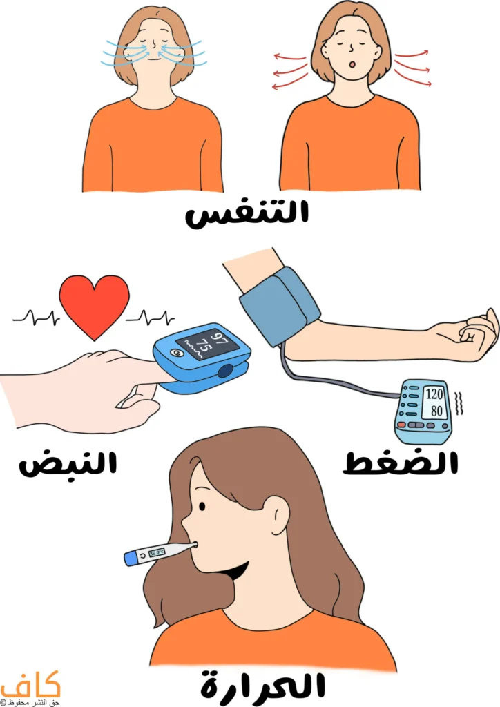 رسم توضيحي يوضح أربع علامات حيوية عند الإنسان: شخص يستنشق ويزفر الهواء مع أسهم حول الوجه، يد تقيس النبض بجهاز رقمي مع رمز قلب، ذراع موصول بجهاز قياس ضغط الدم، وشخص يقيس درجة الحرارة باستخدام ميزان حرارة فموي.