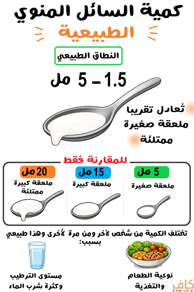 رسم توضيحي يُظهر ملعقة تحتوي على سائل أبيض مع مقارنة أحجام ملاعق مختلفة وكوب ماء وأطعمة صحية، ويُعبّر عن الكمية الطبيعية للسائل المنوي والعوامل المؤثرة عليها.