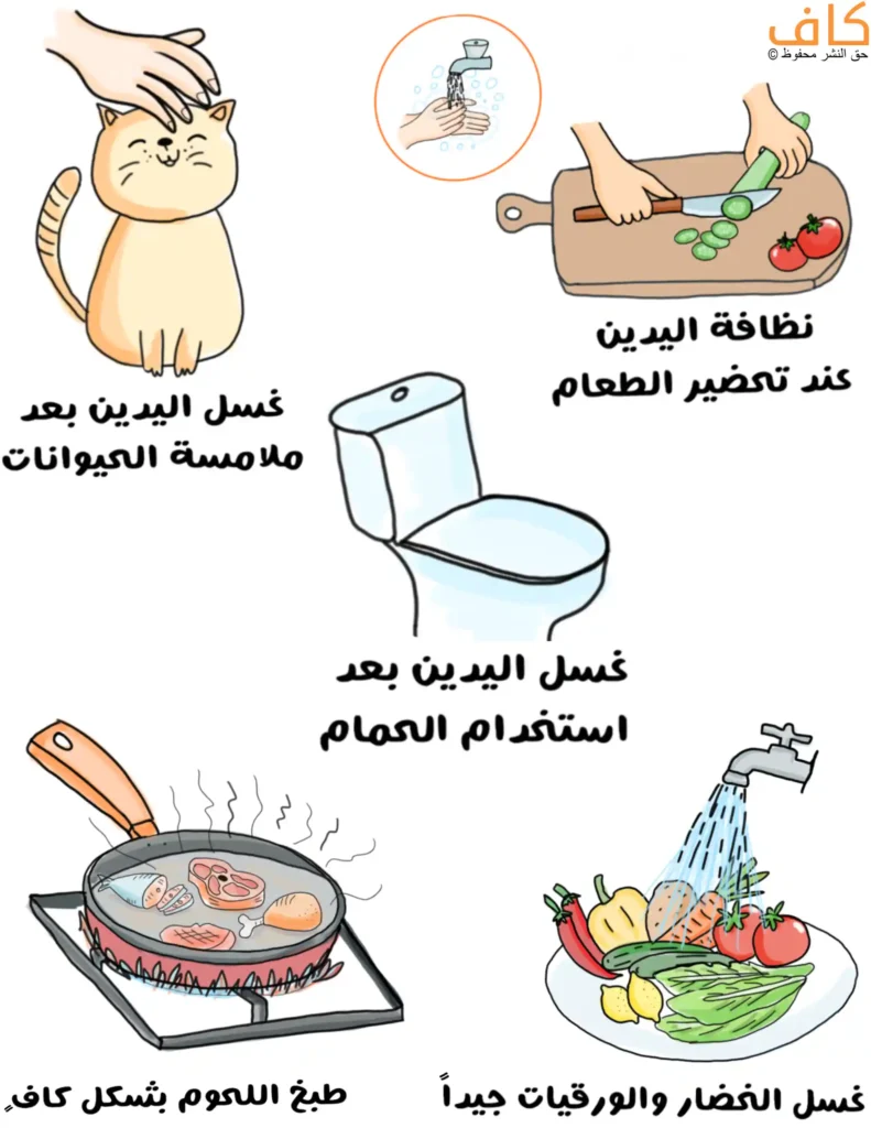 رسم توضيحي يبيّن عدة ممارسات يومية متعلقة بالنظافة والطعام، تشمل غسل اليدين بعد ملامسة الحيوانات، غسل اليدين أثناء تحضير الطعام، غسل اليدين بعد استخدام الحمام، طهي اللحوم جيدًا، وغسل الخضار والورقيات تحت الماء.