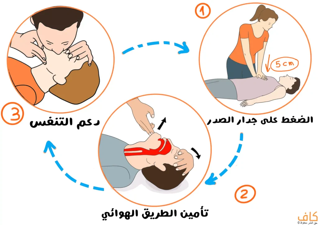 رسم توضيحي متسلسل يوضح خطوات الإنعاش القلبي الرئوي للشخص البالغ، يشمل الضغط على منتصف الصدر بعمق محدد، إمالة الرأس ورفع الذقن لتأمين مجرى الهواء، ثم إعطاء نَفَس إنقاذي من فم المُسعِف إلى فم المصاب.