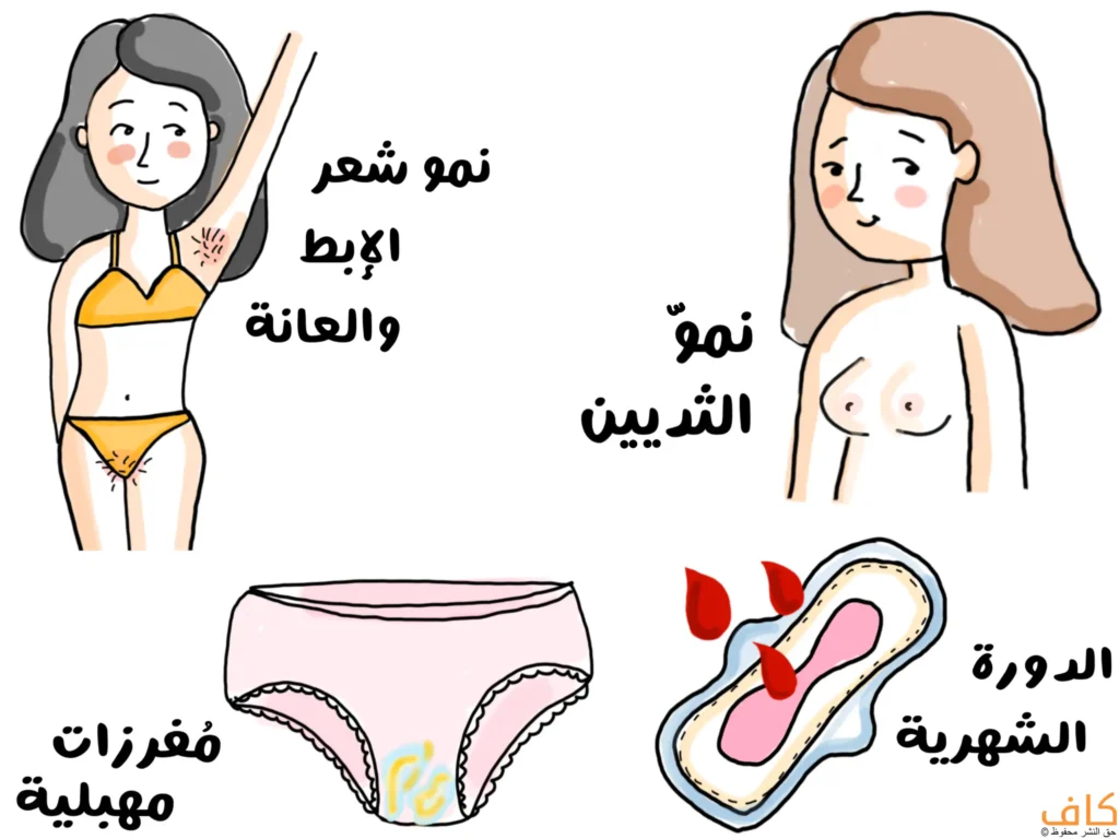 رسم توضيحي لعلامات البلوغ عند الفتيات: نمو الثديين، وظهور شعر الإبط والعانة، والإفرازات المهبلية، وبدء الدورة الشهرية.