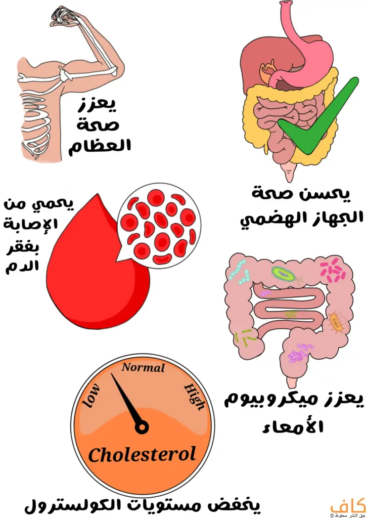 رسمة توضيحية تُظهر مجموعة من الفوائد الصحية المرتبطة بتناول الخوخ المجفف، وتتضمن رسومات لأجزاء من الجسم مثل الهيكل العظمي للدلالة على تقوية العظام، والجهاز الهضمي مع علامة صح للدلالة على تحسين الهضم، وأمعاء تحتوي على بكتيريا نافعة، وقطرة دم تحوي خلايا دم حمراء للدلالة على الوقاية من فقر الدم، بالإضافة إلى عدّاد يشير إلى انخفاض مستويات الكوليسترول.