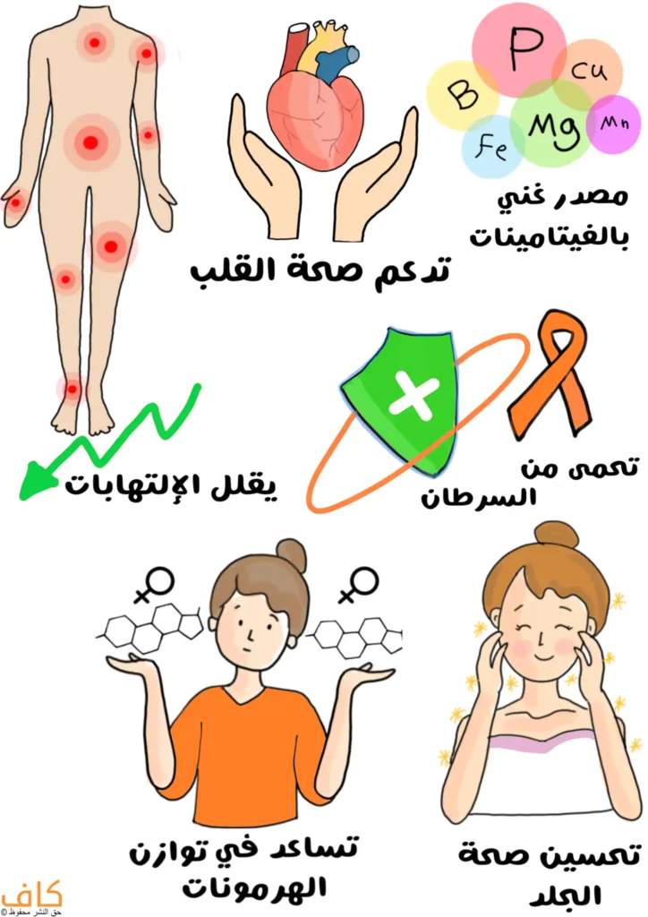 رسم توضيحي يُظهر فوائد تناول الطحينة، حيث تُعرض دوائر تحتوي على رموز للعناصر والفيتامينات للدلالة على غناها بالمعادن، وبجانبها قلب تحيط به يدان تمثلان دعم صحة القلب، وفي اليسار جسم يظهر عليه نقاط حمراء للدلالة على قدرتها في تقليل الالتهابات، وفي الوسط درع وشريط برتقالي يرمزان إلى الوقاية من السرطان، وفي الأسفل امرأة تحمل رموز الهرمونات لتوضيح دور الطحينة في توازنها، وأخرى تلمس وجهها للدلالة على تحسين صحة البشرة.